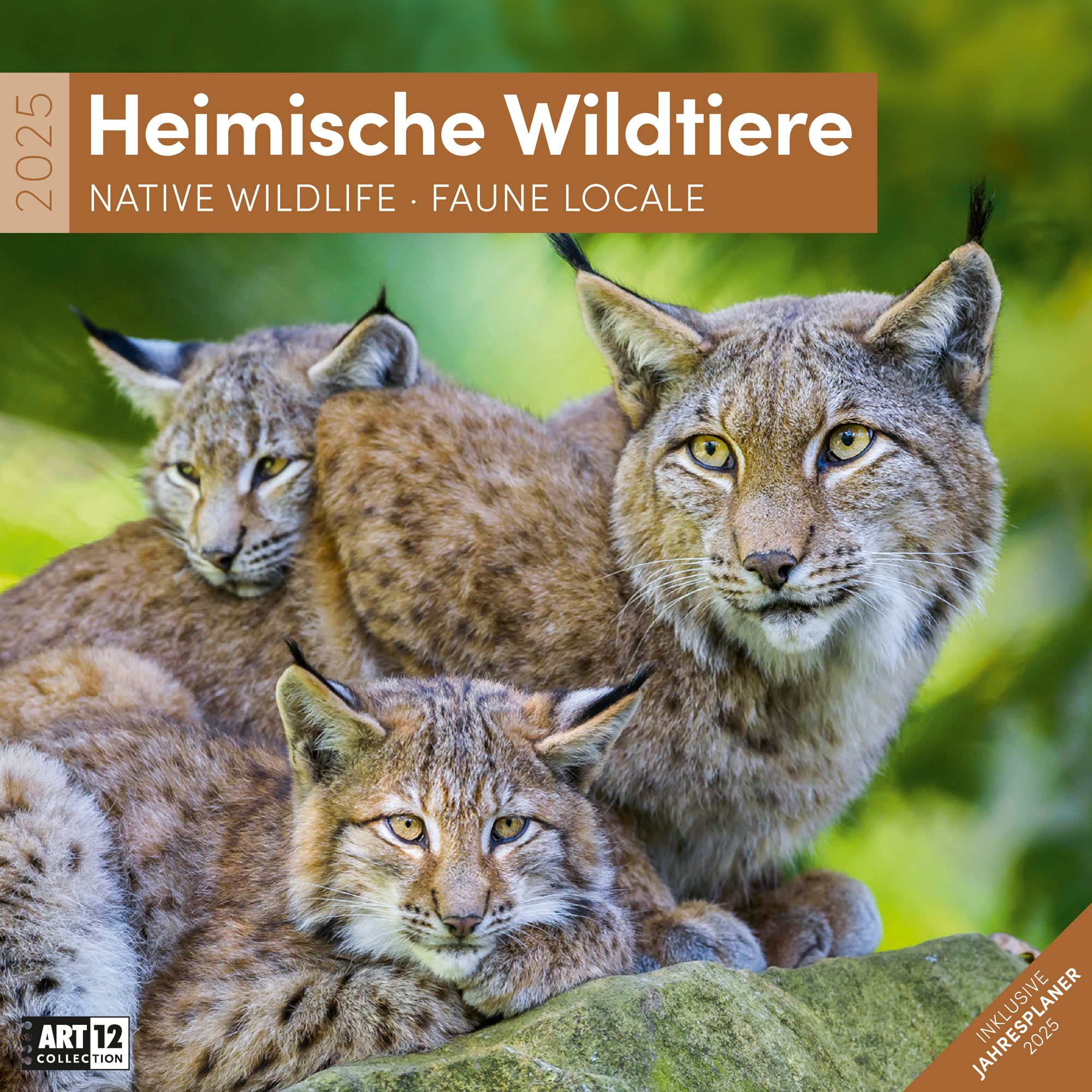 Art12 Collection Calendar Native Animals of Germany 2025 - 30x30 - Cover Page