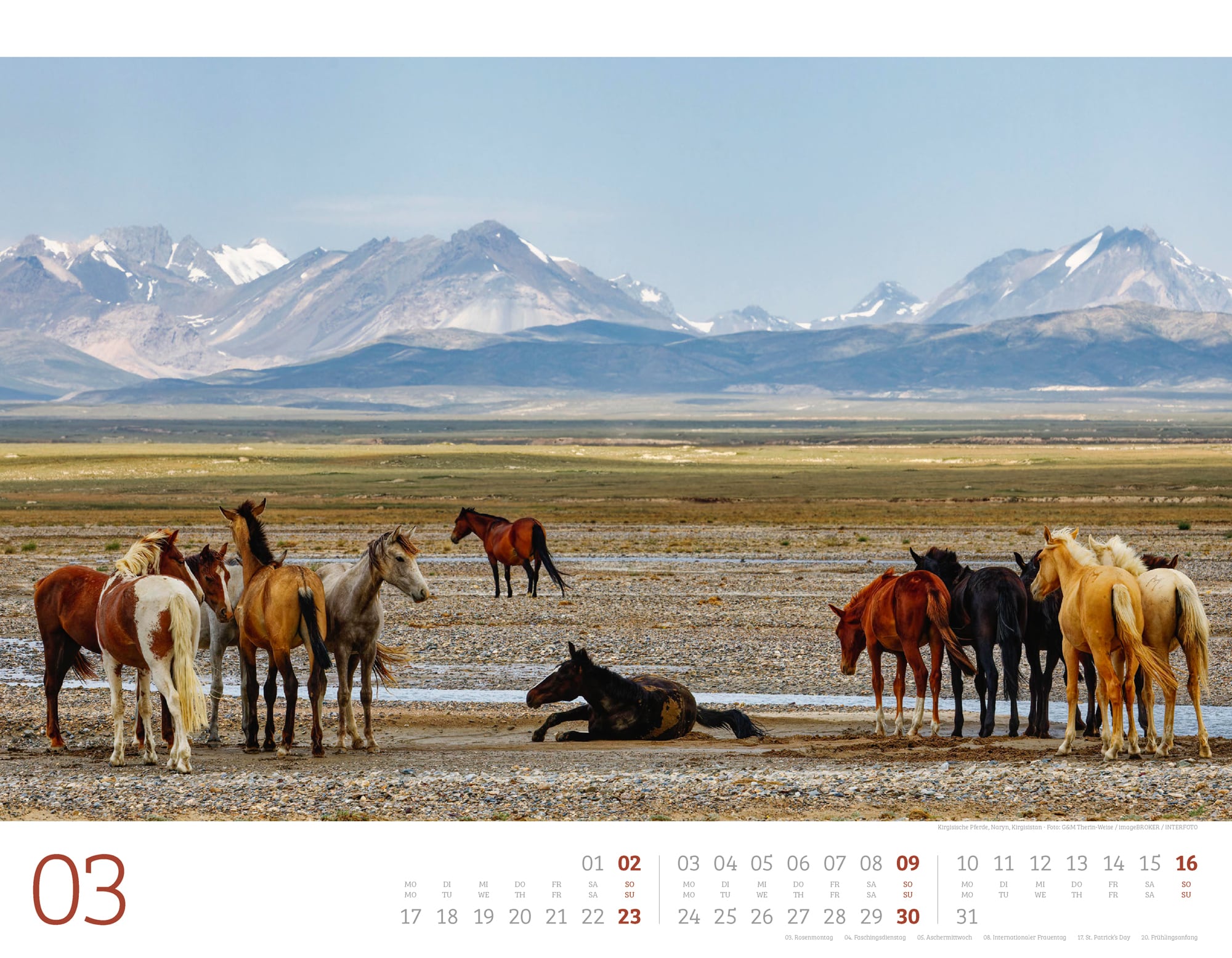 Ackermann Calendar Wild Horses 2025 - Inside View 03