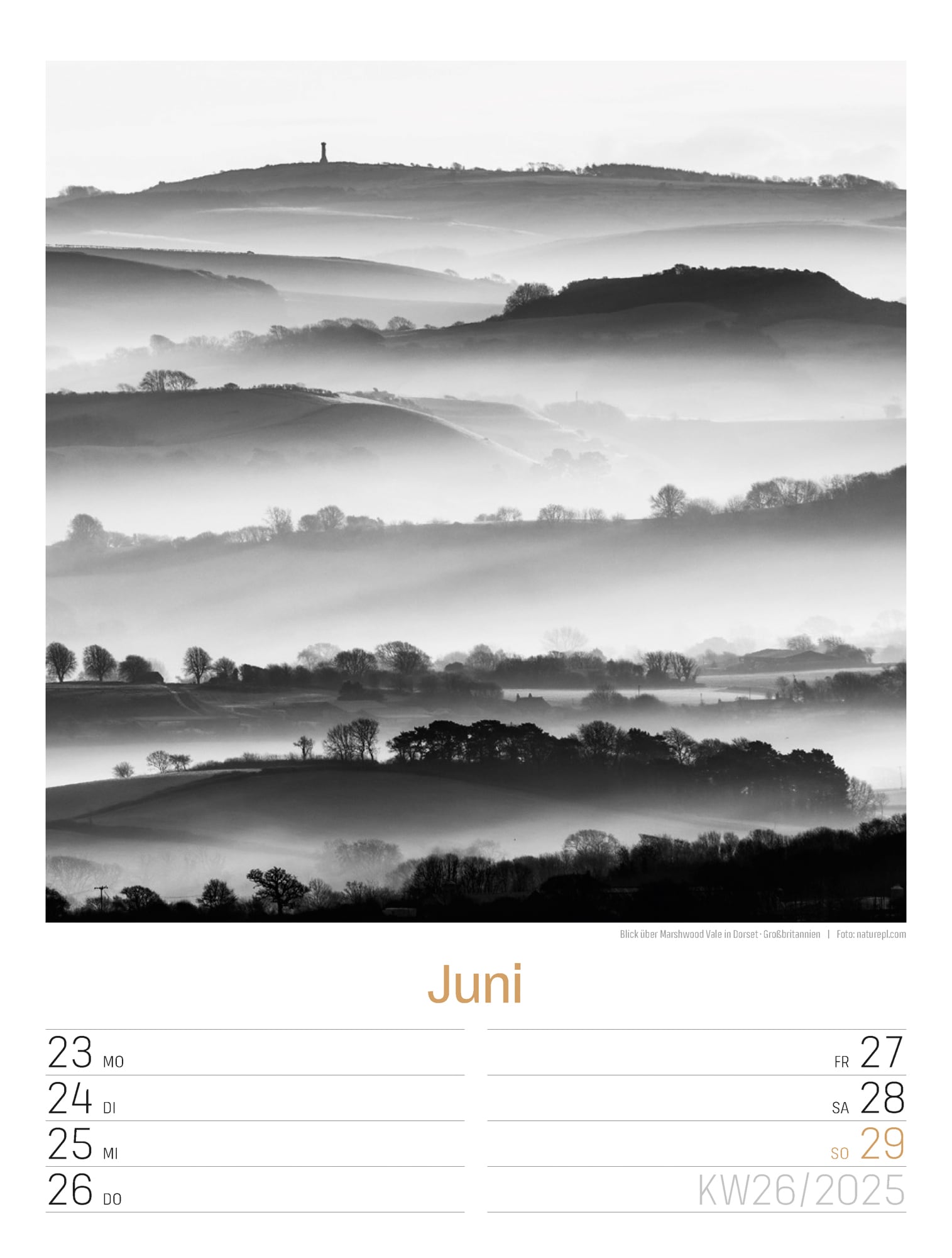 Ackermann Calendar Silent Nature 2025 - Weekly Planner - Inside View 29