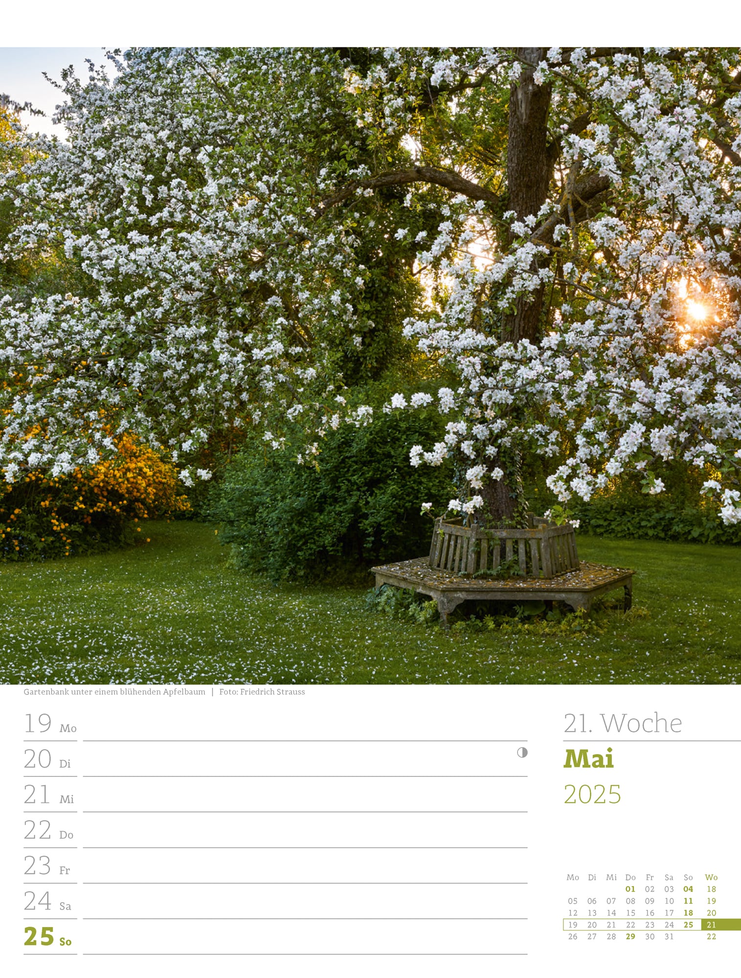 Ackermann Calendar Beautiful Gardens 2025 - Weekly Planner - Inside View 24