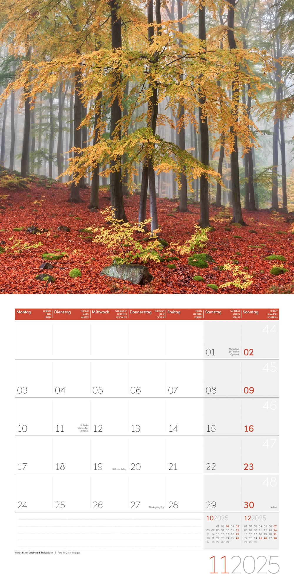 Art12 Collection Kalender Bäume 2025 - 30x30 - Innenansicht 11