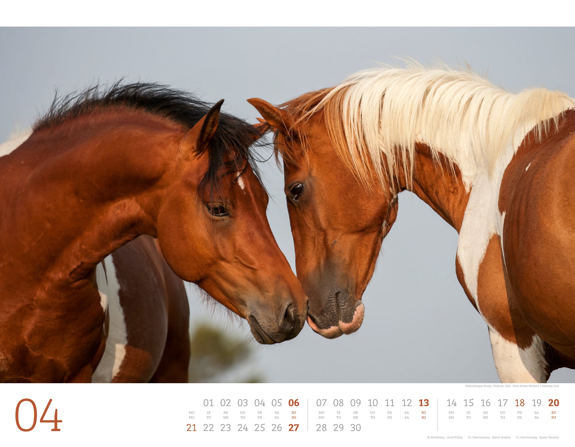 Ackermann Calendar Wild Horses 2025 - Inside View 04
