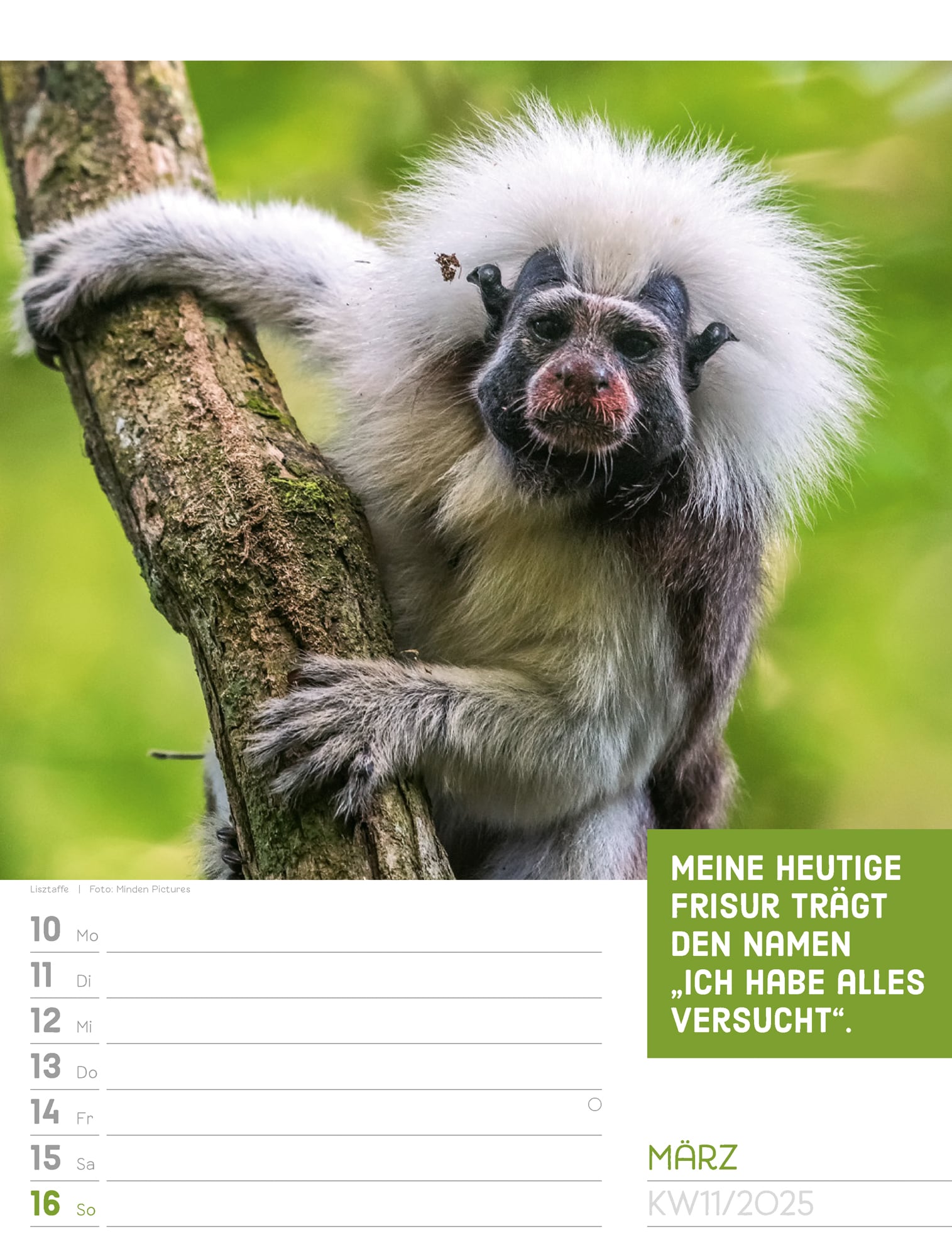 Ackermann Calendar Animals 2025 - Weekly Planner - Inside View 14