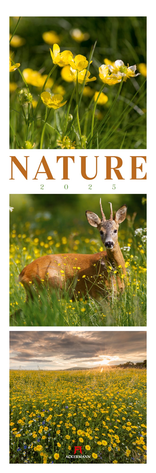Ackermann Kalender Nature 2025 - Titelblatt