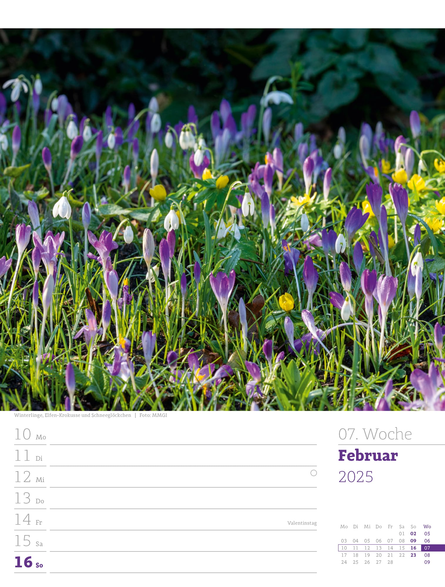 Ackermann Calendar Beautiful Gardens 2025 - Weekly Planner - Inside View 10