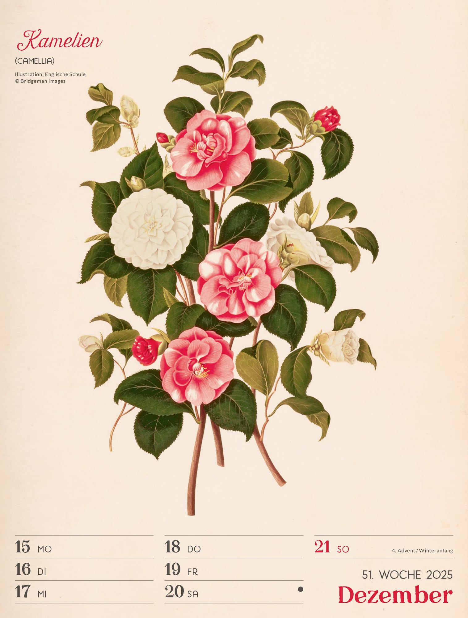 Ackermann Calendar Ars Floralis 2025 - Weekly Planner - Inside View 54