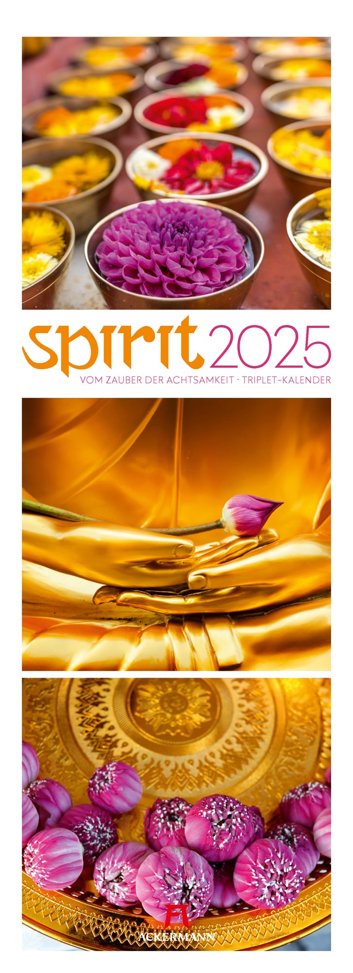 Ackermann Kalender Spirit 2025 - Titelblatt
