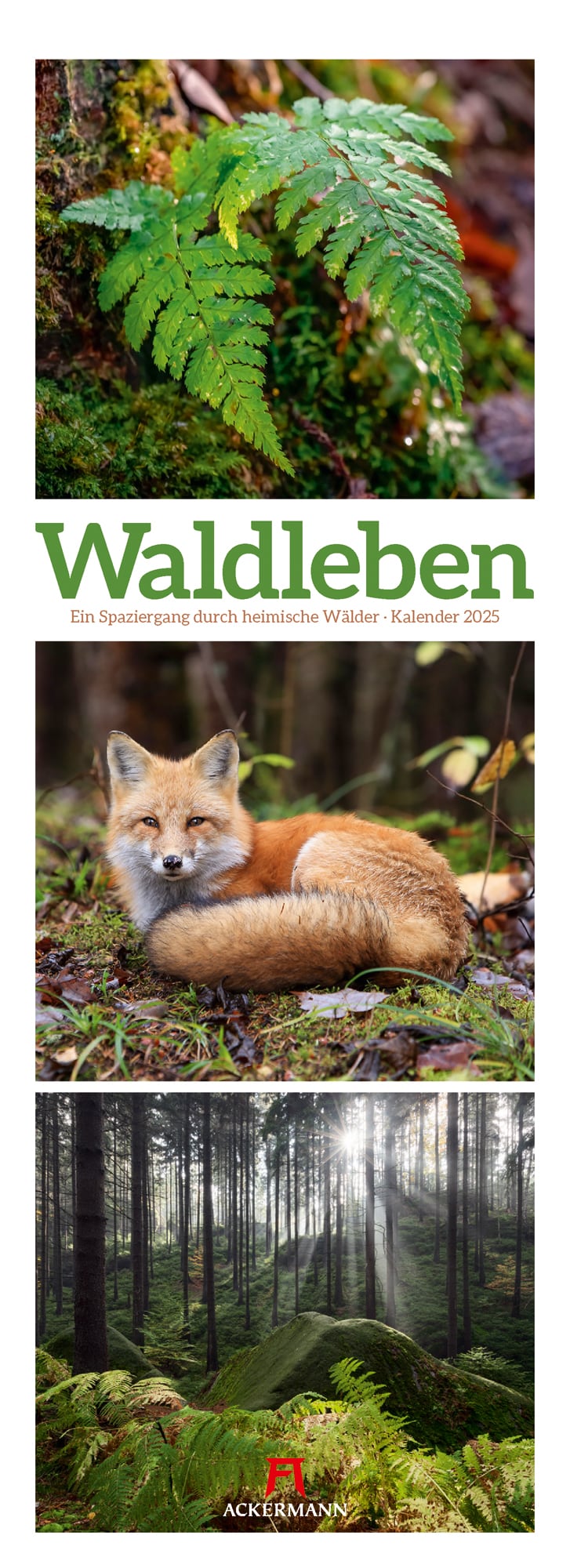 Ackermann Kalender Waldleben 2025 - Titelblatt