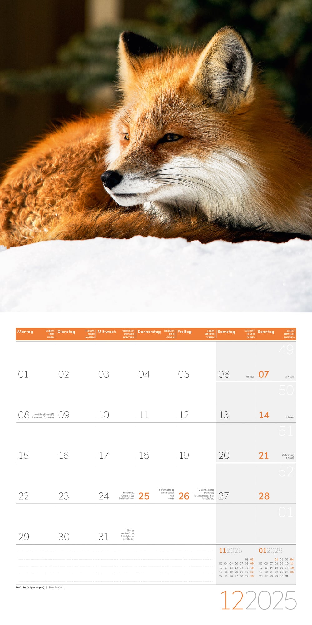 Art12 Collection Kalender Heimische Wildtiere 2025 - 30x30 - Innenansicht 12