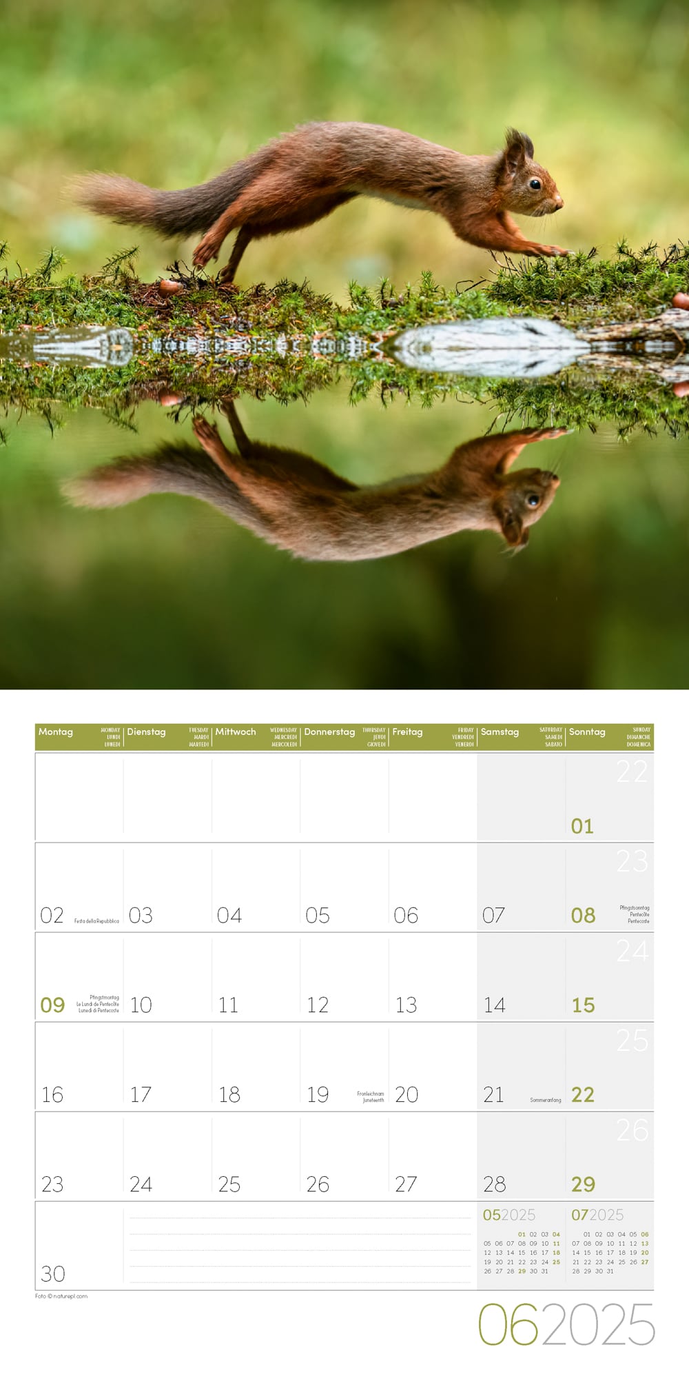 Art12 Collection Kalender Eichhörnchen 2025 - 30x30 - Innenansicht 06