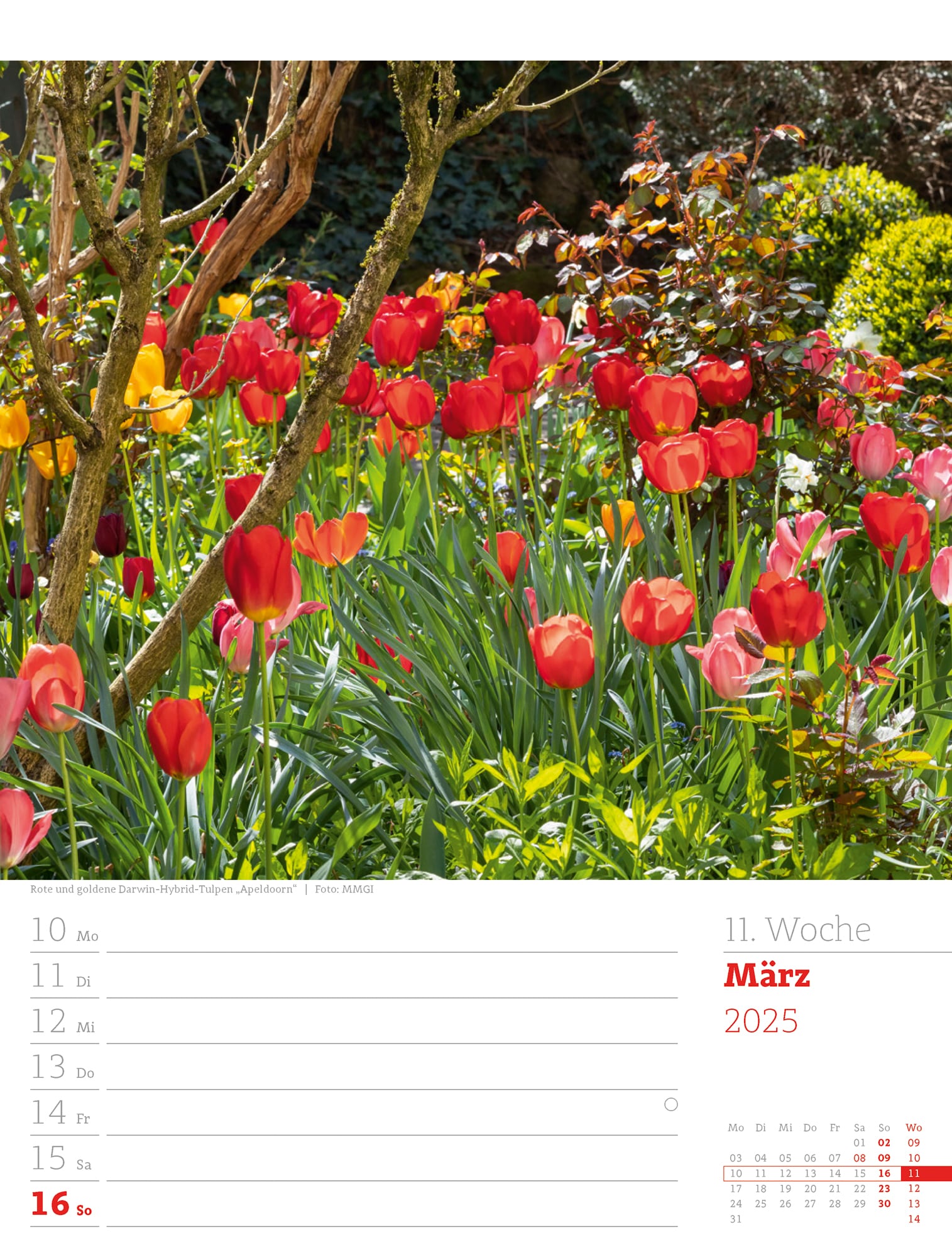 Ackermann Calendar Beautiful Gardens 2025 - Weekly Planner - Inside View 14