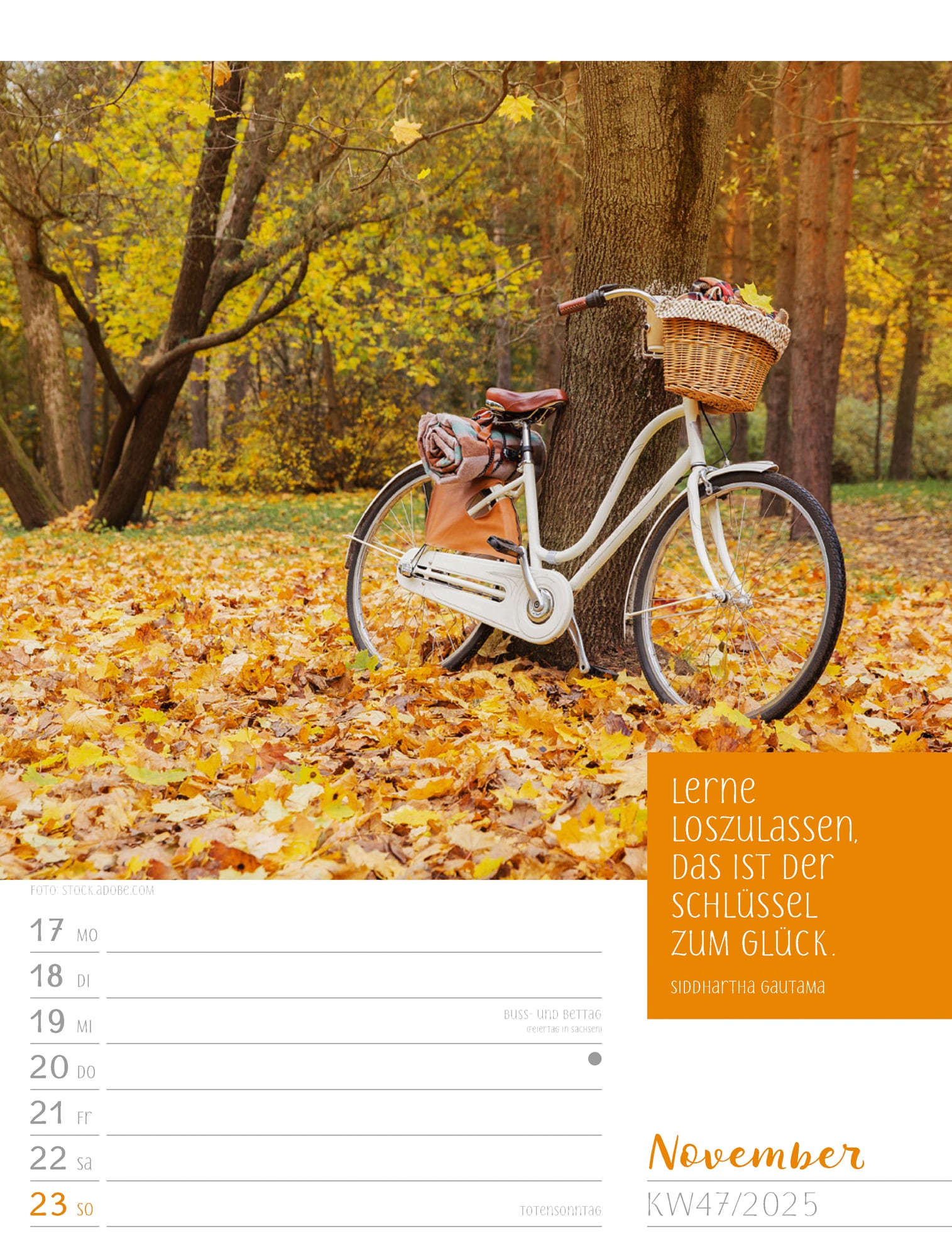 Ackermann Calendar Moments 2025 - Weekly Planner - Inside View 50