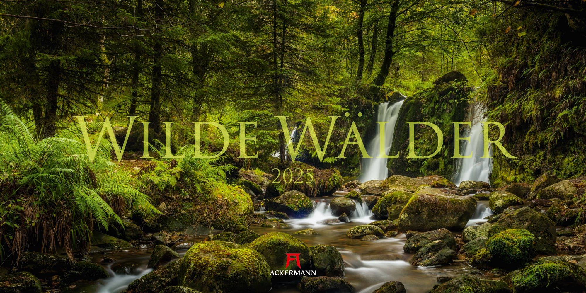 Ackermann Kalender Wilde Wälder 2025 - Titelblatt