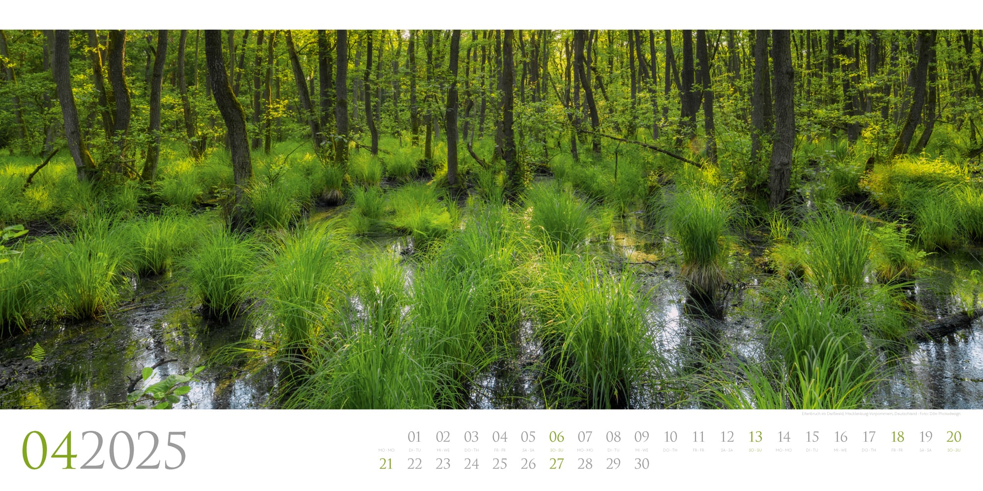 Ackermann Kalender Wilde Wälder 2025 - Innenansicht 04