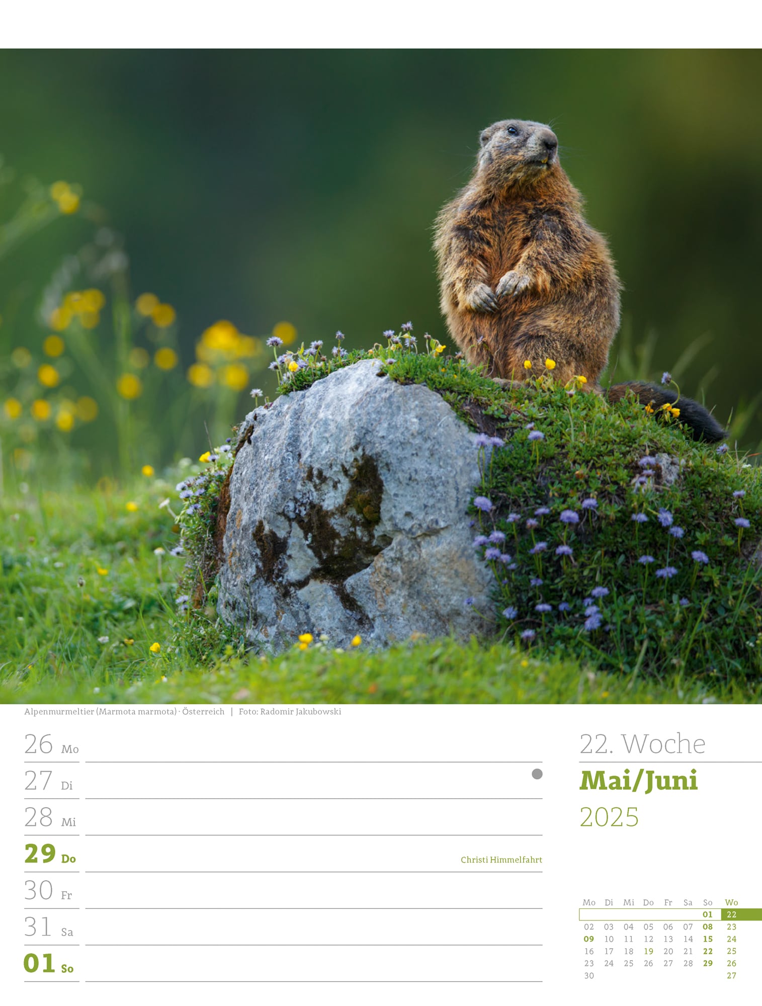 Ackermann Calendar Alps 2025 - Weekly Planner - Inside View 25