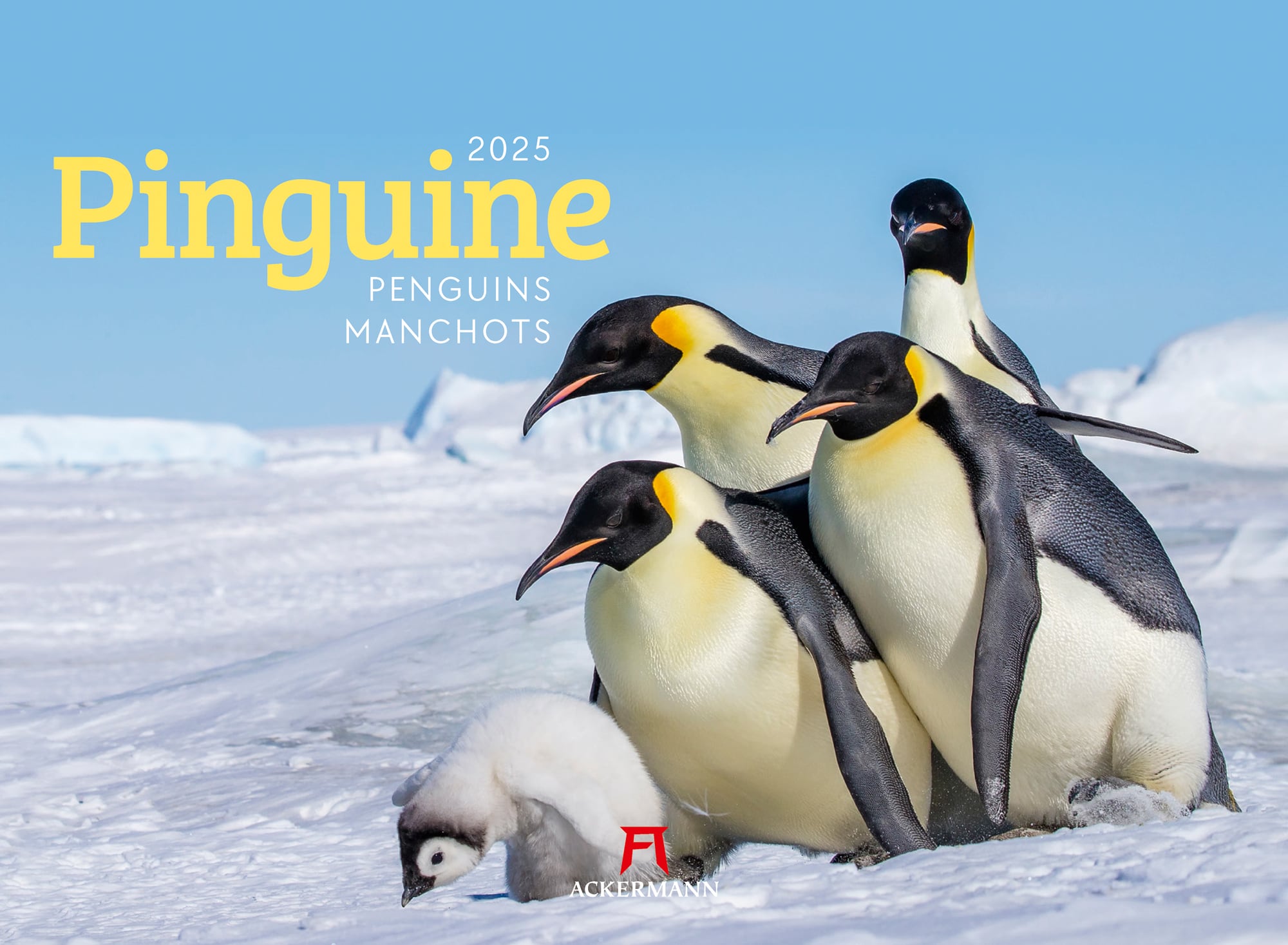 Ackermann Kalender Pinguine 2025 - Titelblatt