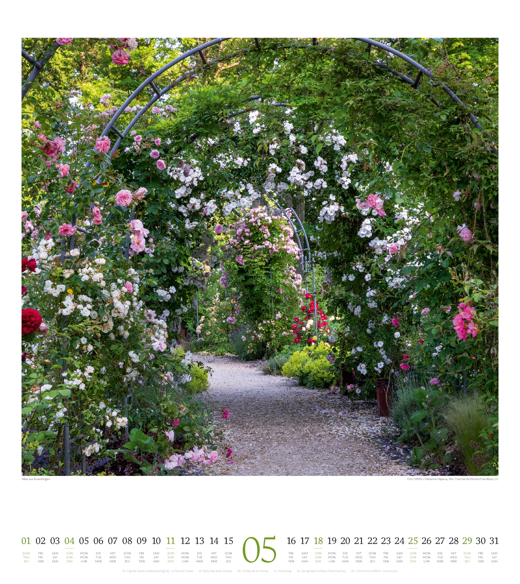 Ackermann Kalender Paradiesische Gärten 2025 - Innenansicht 05