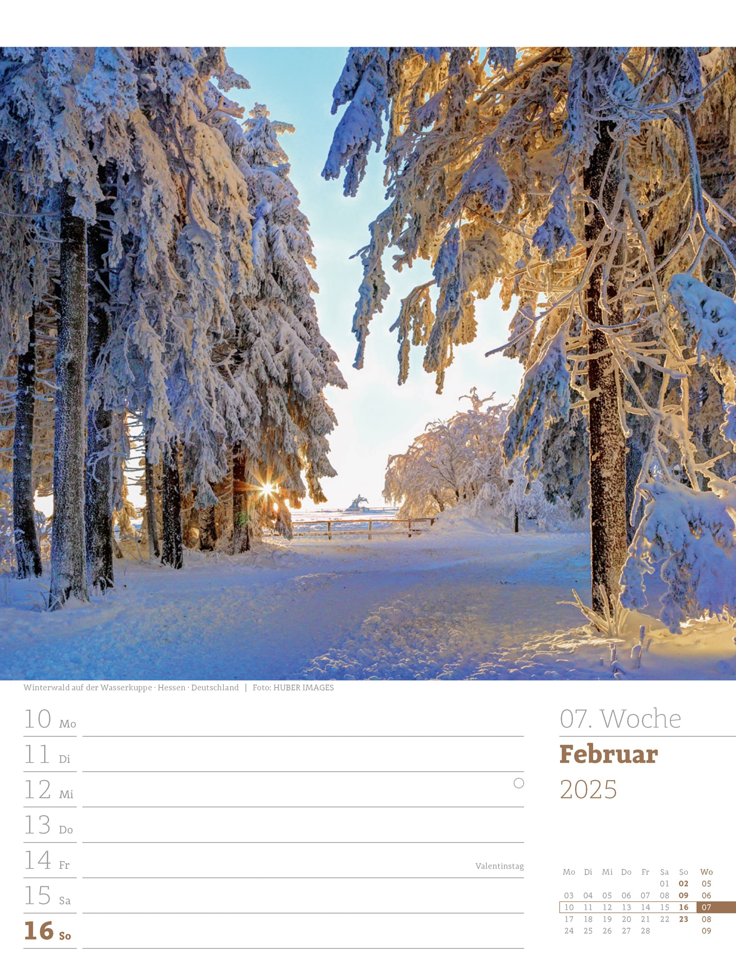 Ackermann Calendar Our Forest 2025 - Weekly Planner - Inside View 10