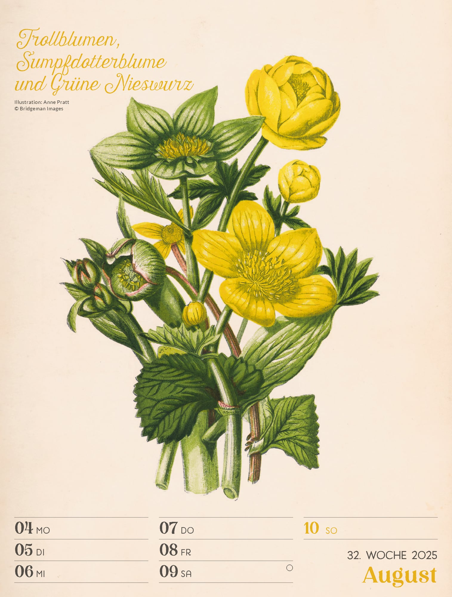 Ackermann Calendar Ars Floralis 2025 - Weekly Planner - Inside View 35