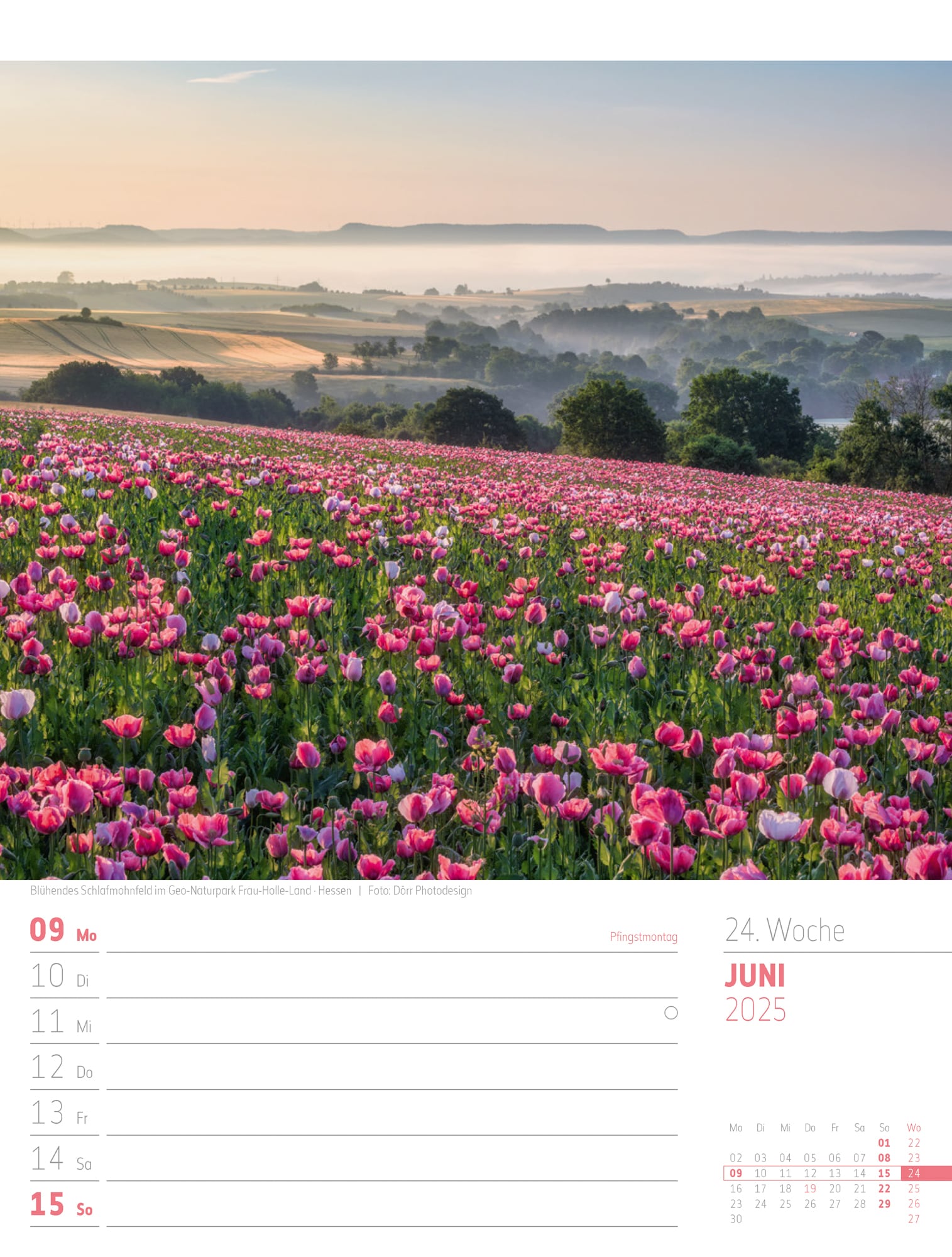 Ackermann Calendar Discover Germany 2025 - Weekly Planner - Inside View 27