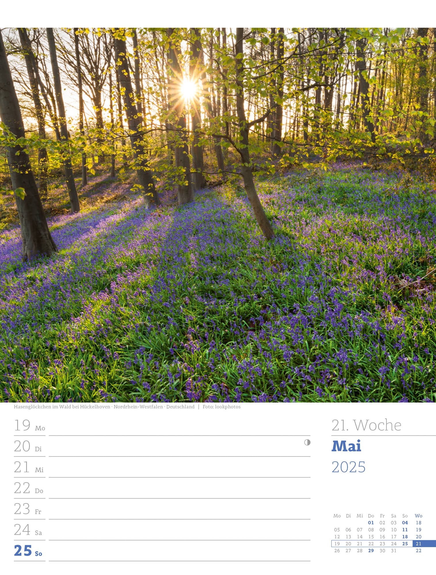 Ackermann Calendar Our Forest 2025 - Weekly Planner - Inside View 24