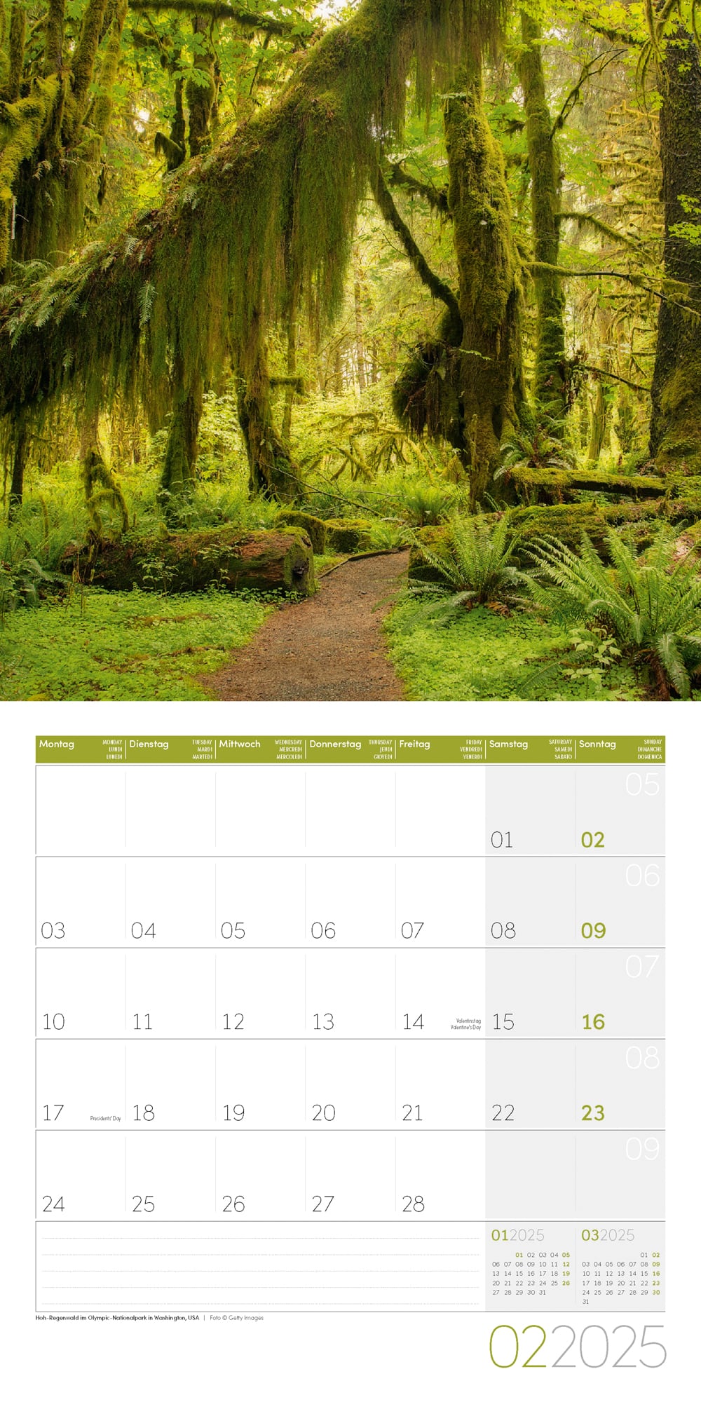 Art12 Collection Kalender Zauber des Waldes 2025 - 30x30 - Innenansicht 02
