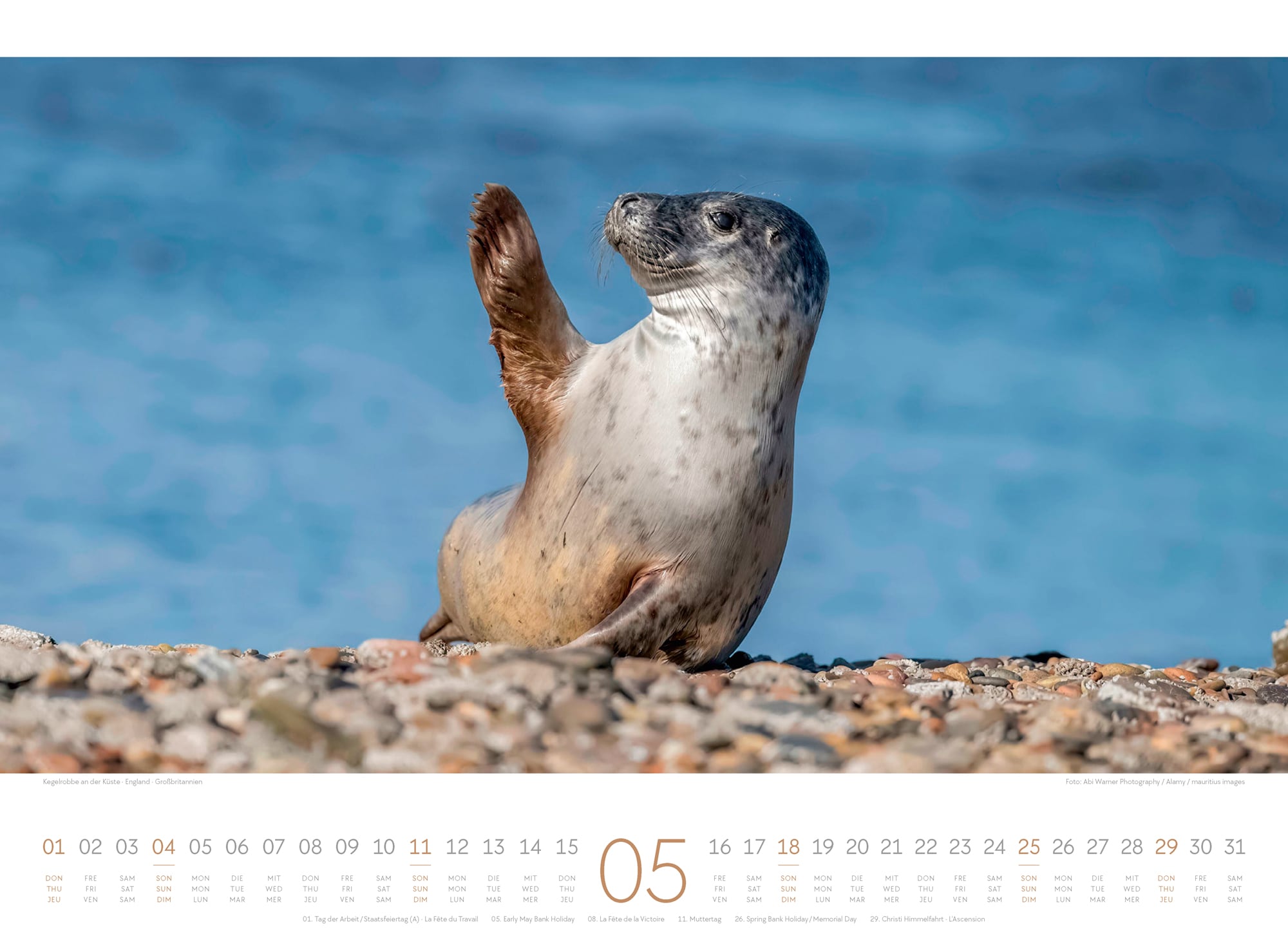Ackermann Calendar Days at the Seaside 2025 - Inside View 05