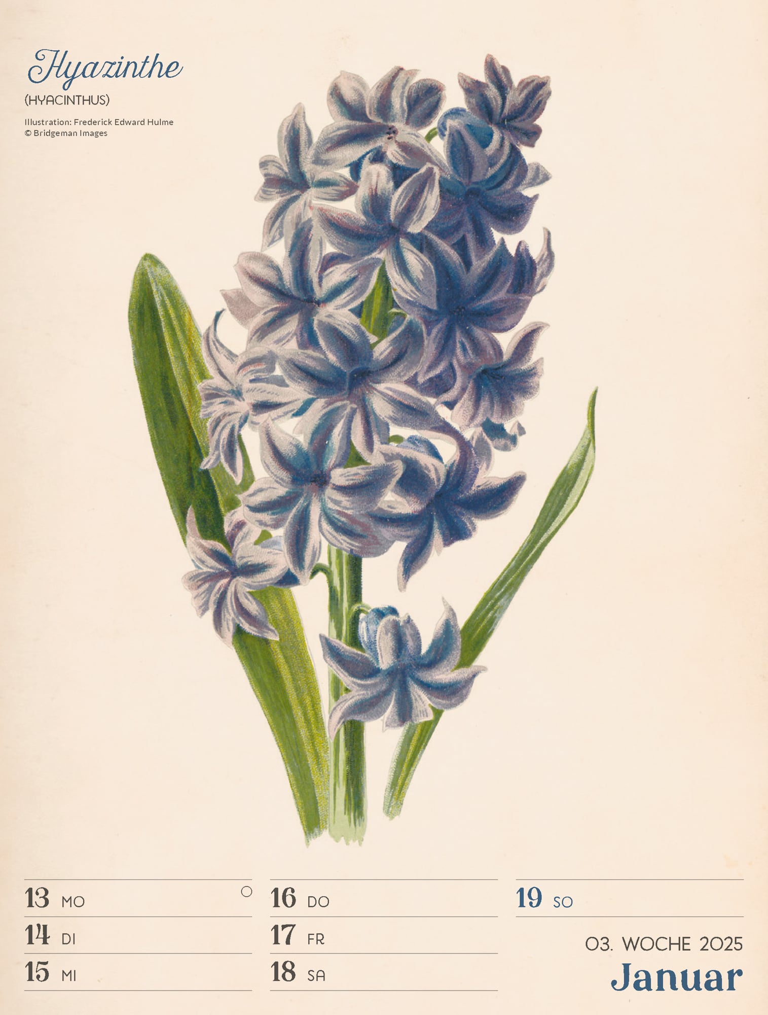 Ackermann Calendar Ars Floralis 2025 - Weekly Planner - Inside View 05
