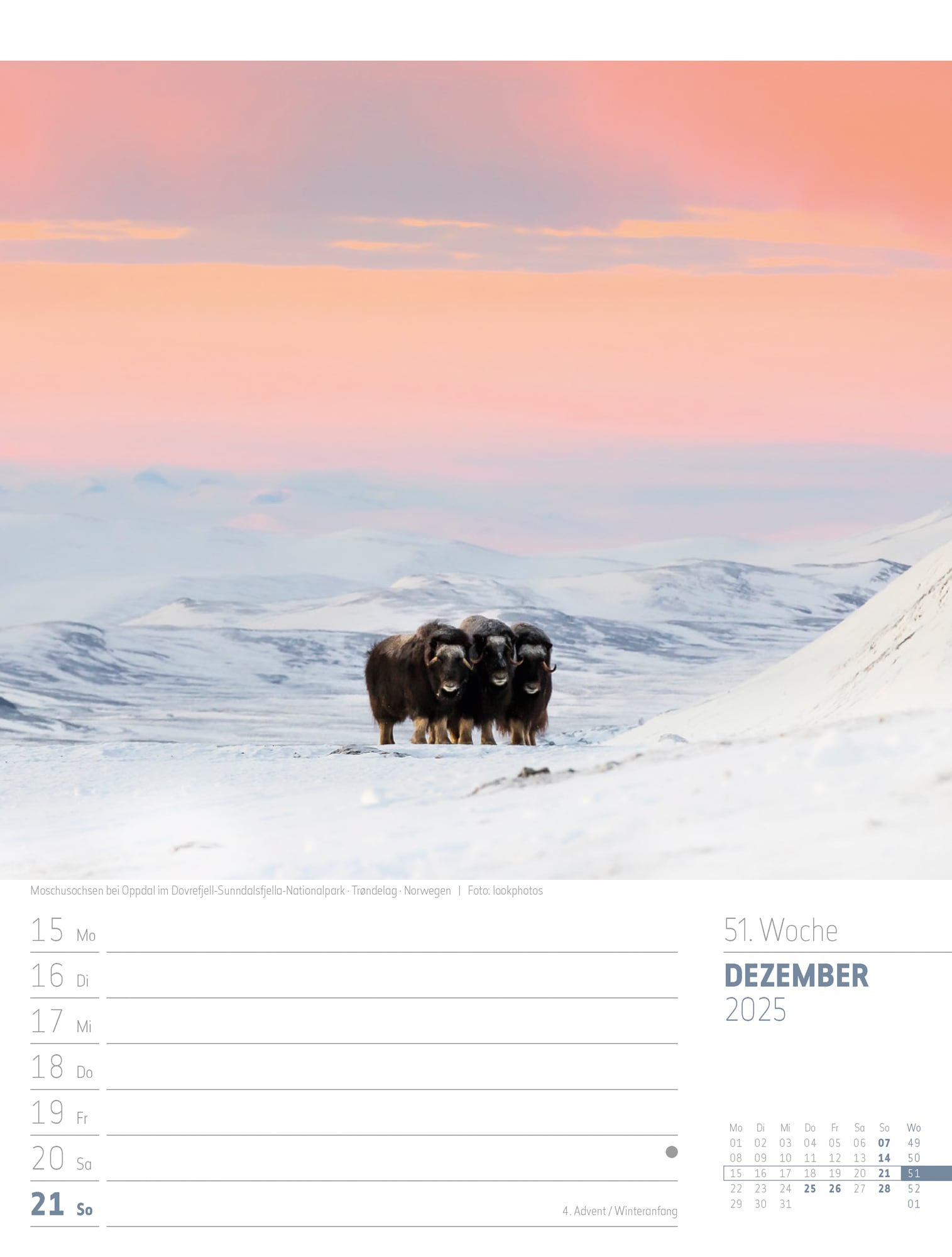 Ackermann Calendar Planet Earth 2025 - Weekly Planner - Inside View 54