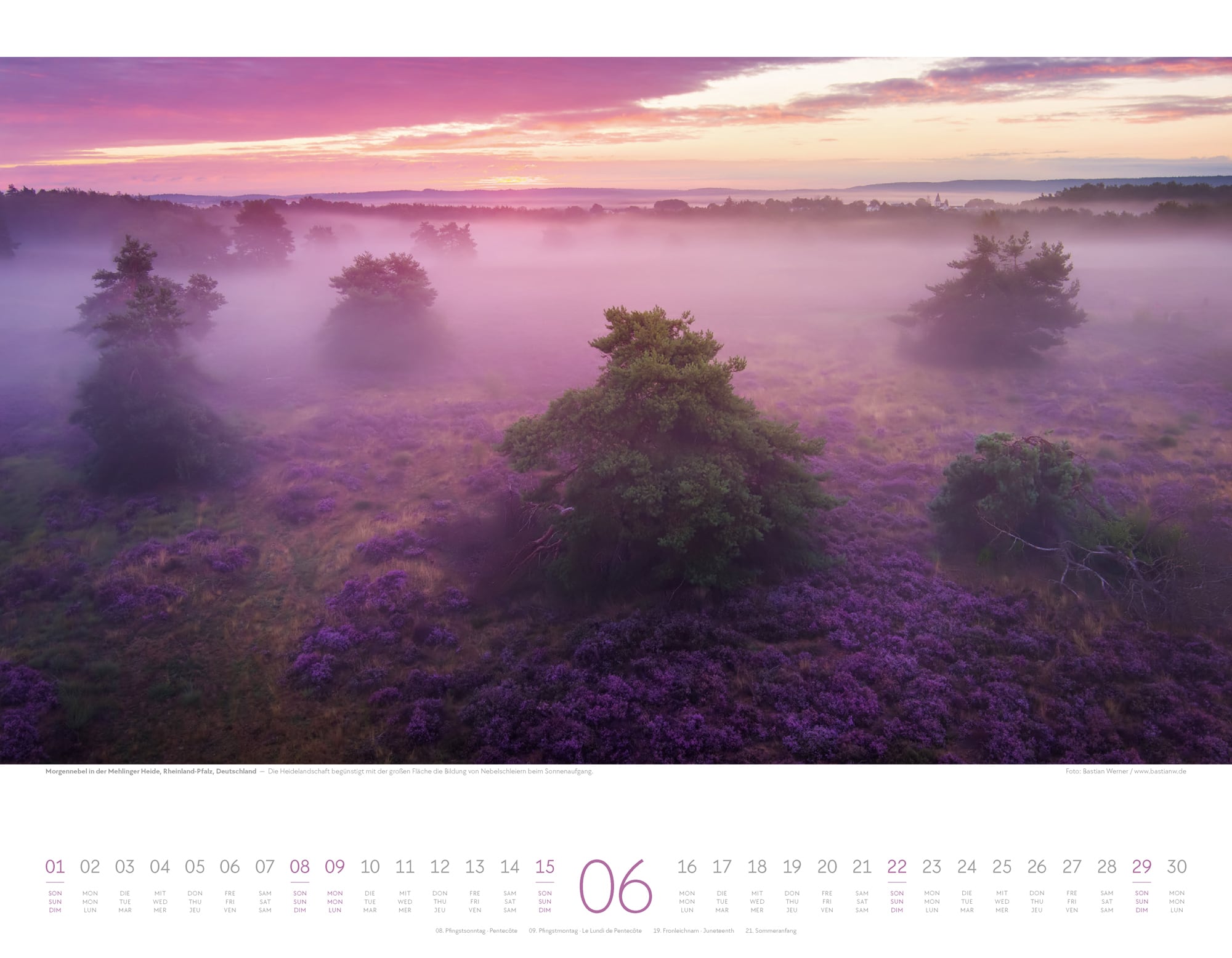 Ackermann Calendar Forces of Nature 2025 - Inside View 06