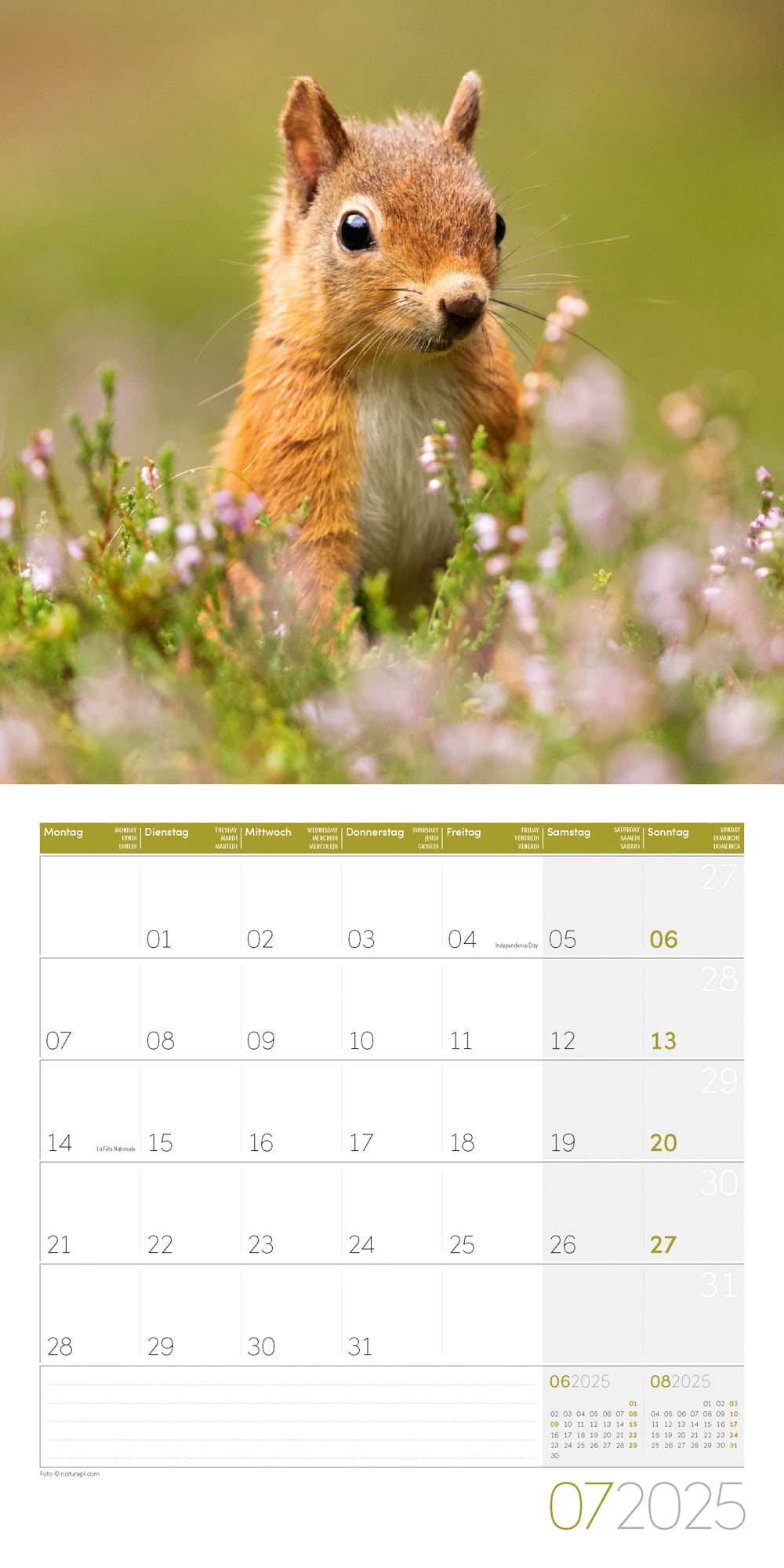 Art12 Collection Kalender Eichhörnchen 2025 - 30x30 - Innenansicht 07