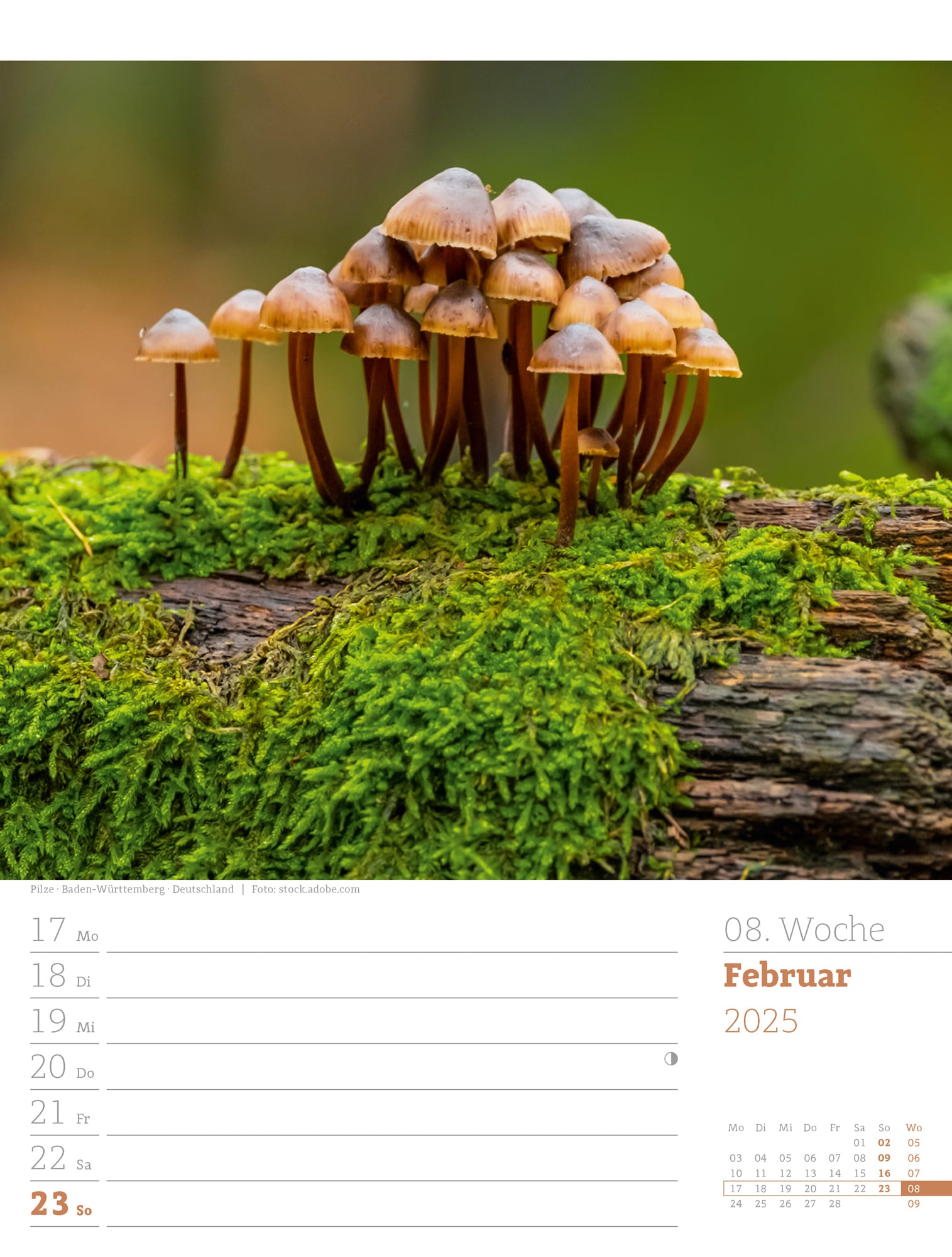 Ackermann Calendar Our Forest 2025 - Weekly Planner - Inside View 11