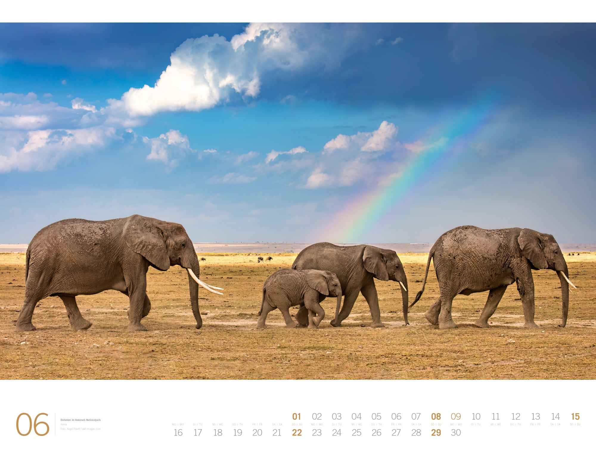 Ackermann Calendar Africa - Gallery 2025 - Inside View 06