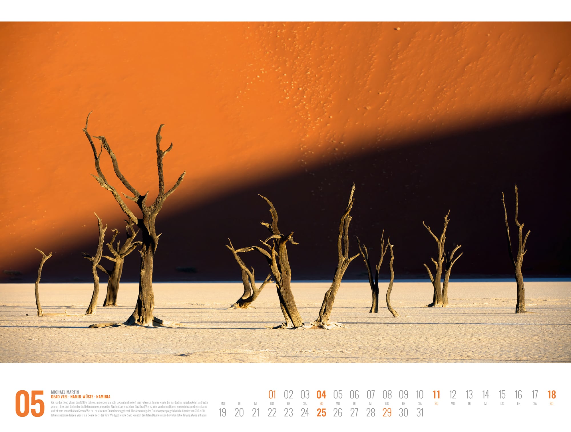 Ackermann Calendar World through the viewfinder - Michael Martin 2025 - Inside View 05