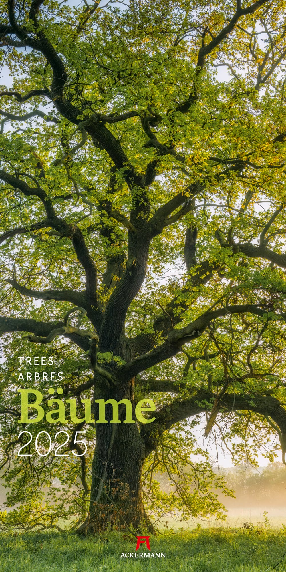 Ackermann Kalender Bäume 2025 - Titelblatt