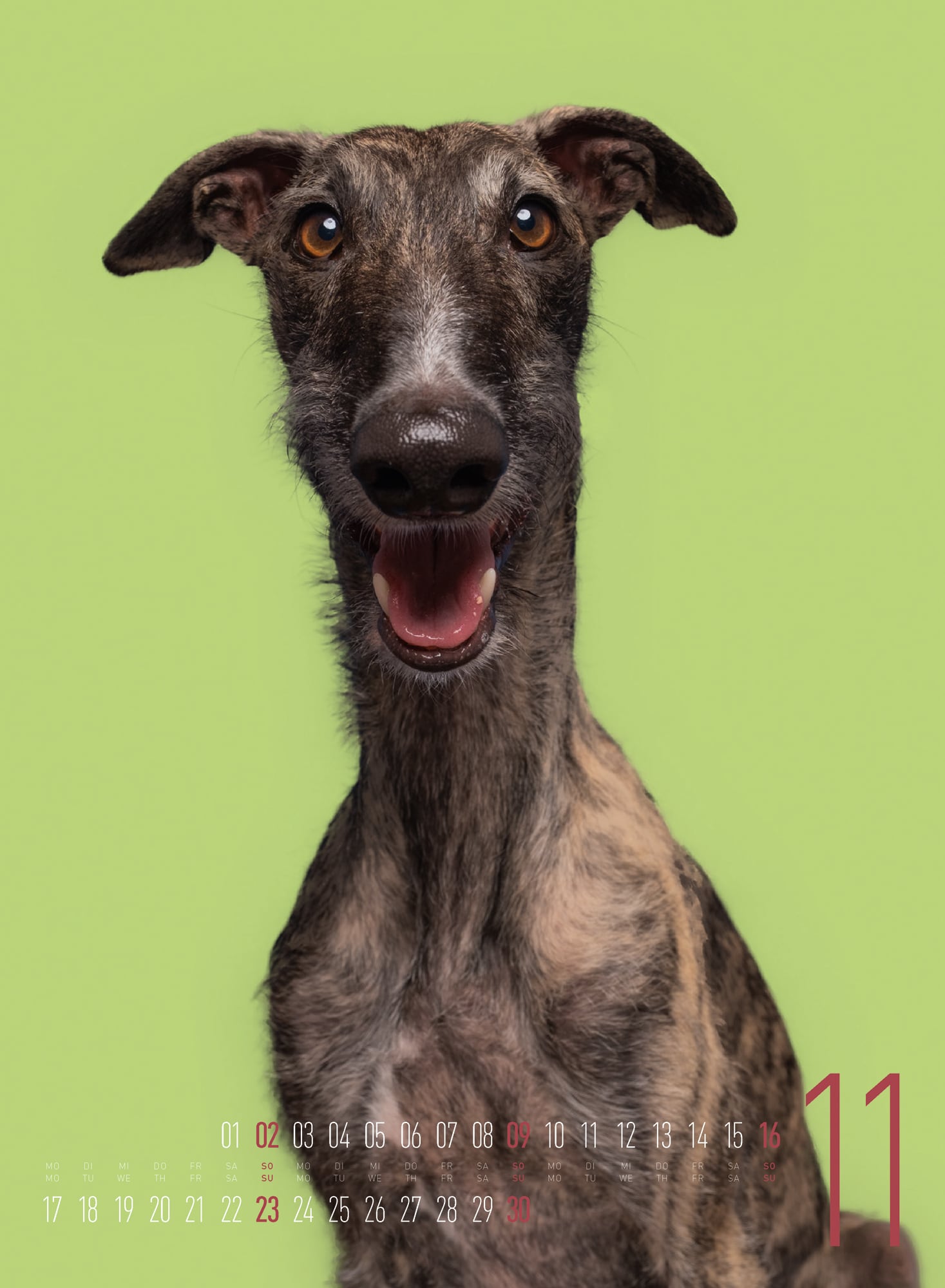 Ackermann Calendar Funny Dogs 2025 - Inside View 11