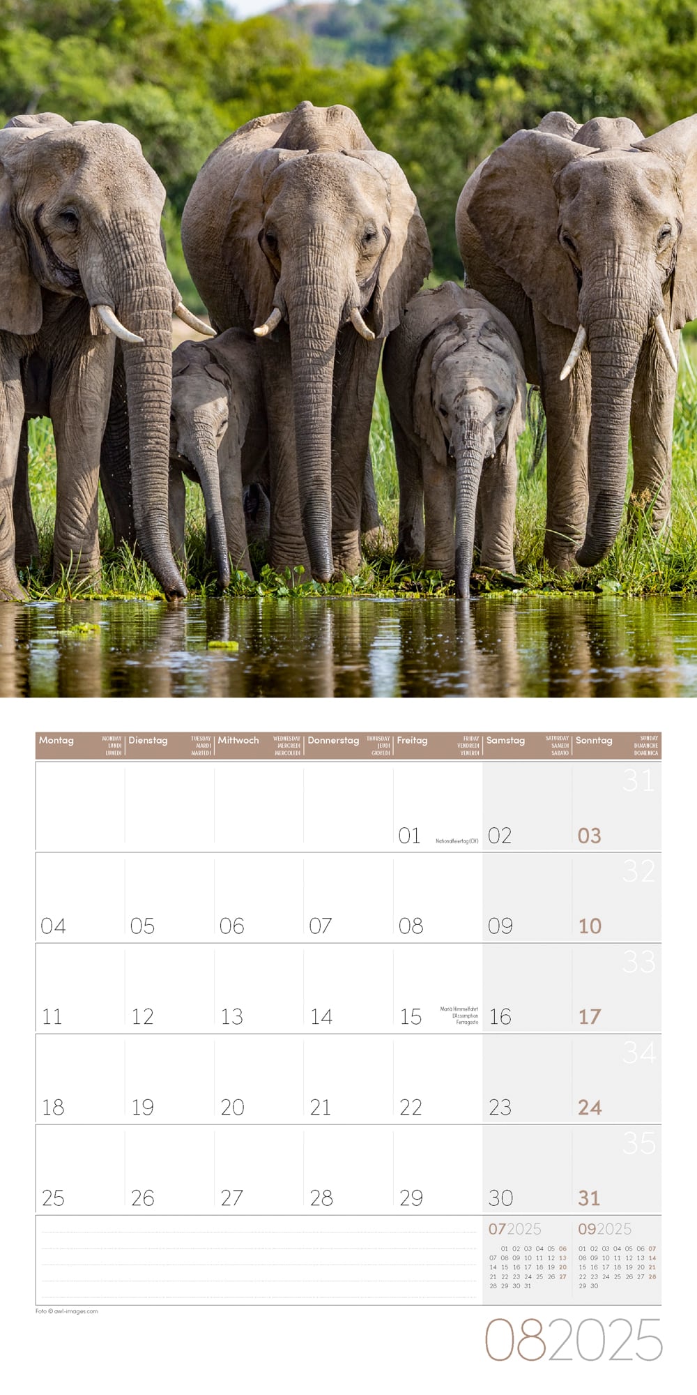 Art12 Collection Kalender Elefanten 2025 - 30x30 - Innenansicht 08