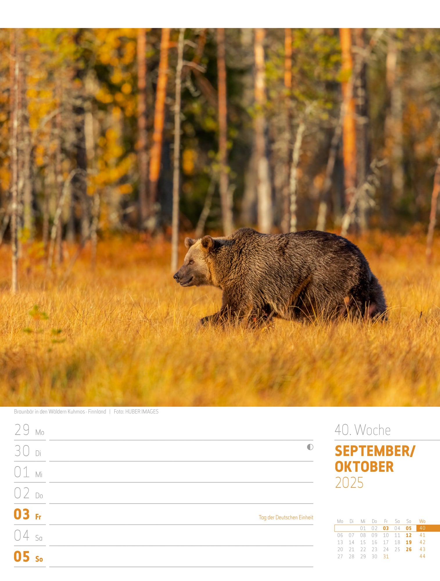 Ackermann Calendar Scandinavia 2025 - Weekly Planner - Inside View 43