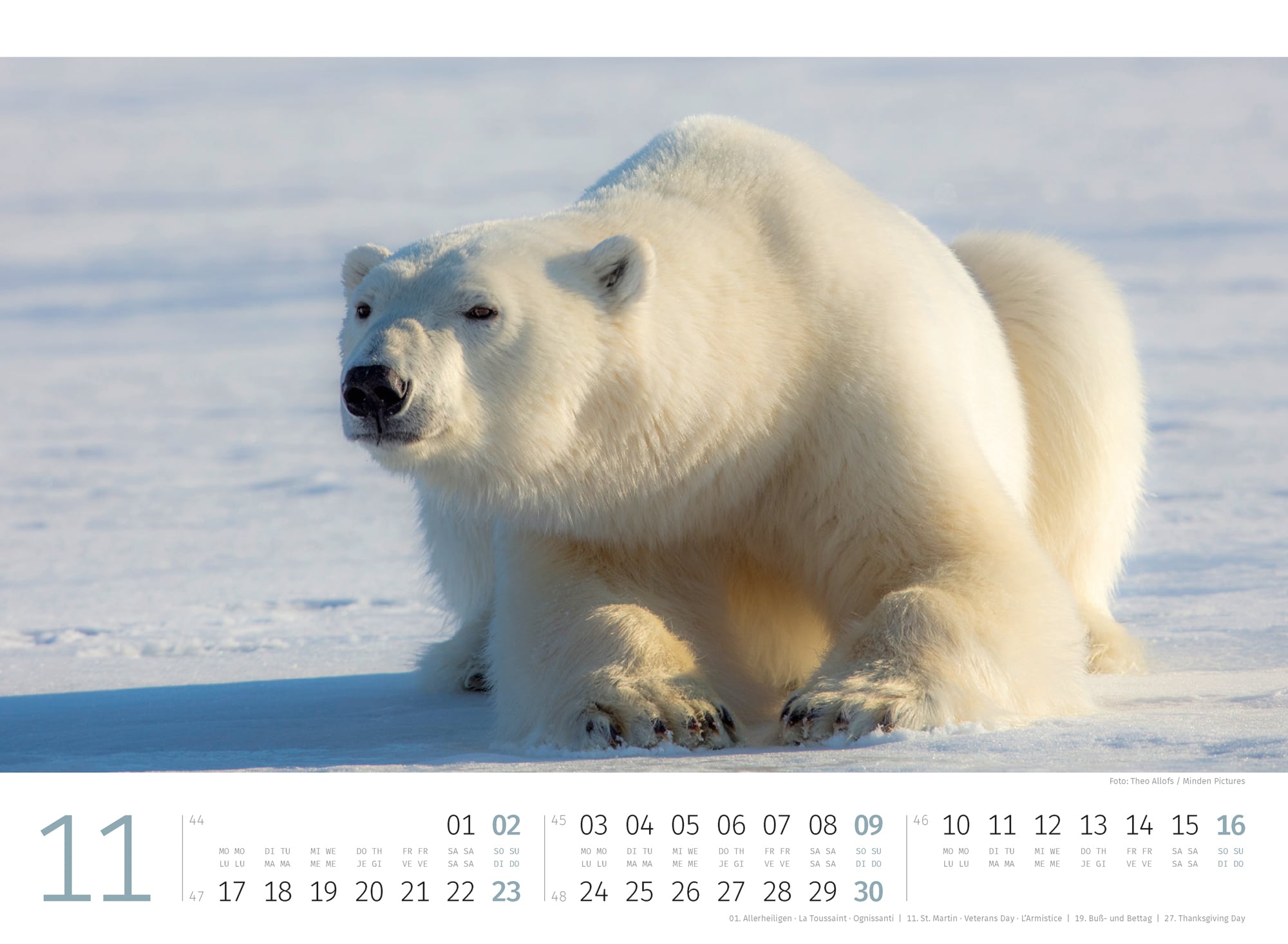 Ackermann Calendar Polar Bears 2025 - Inside View 11
