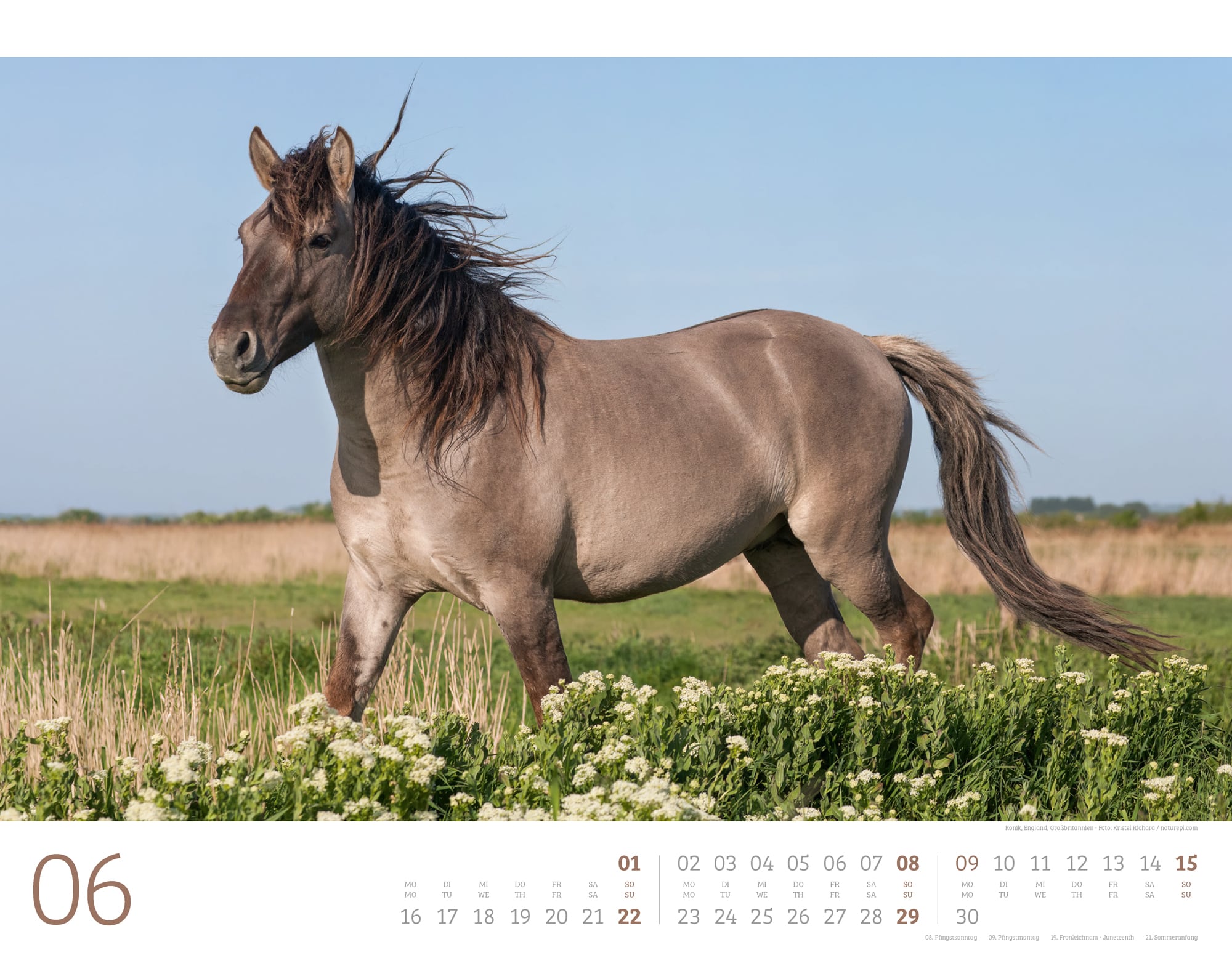 Ackermann Kalender Wilde Pferde 2025 - Innenansicht 06