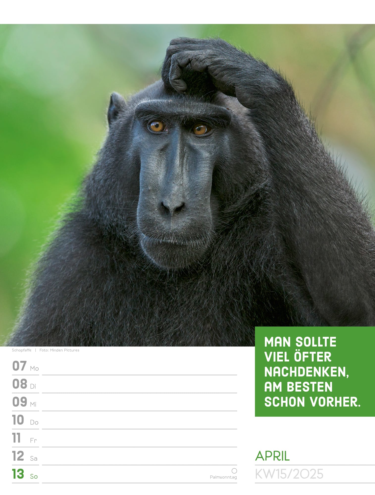 Ackermann Calendar Animals 2025 - Weekly Planner - Inside View 18