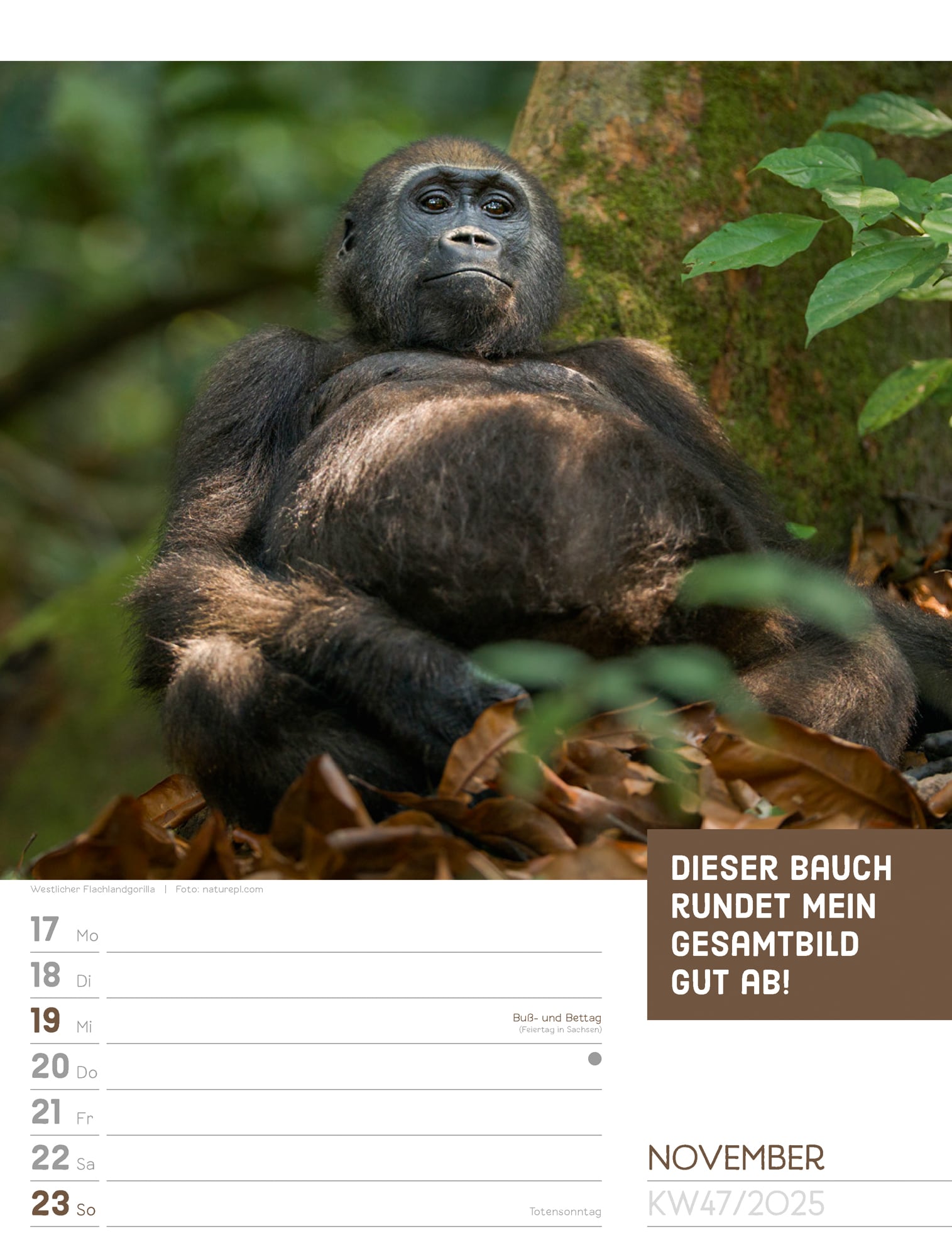 Ackermann Calendar Animals 2025 - Weekly Planner - Inside View 50