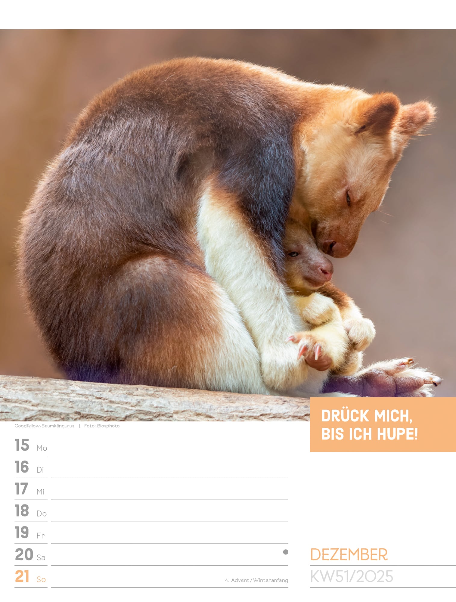 Ackermann Calendar Animals 2025 - Weekly Planner - Inside View 54