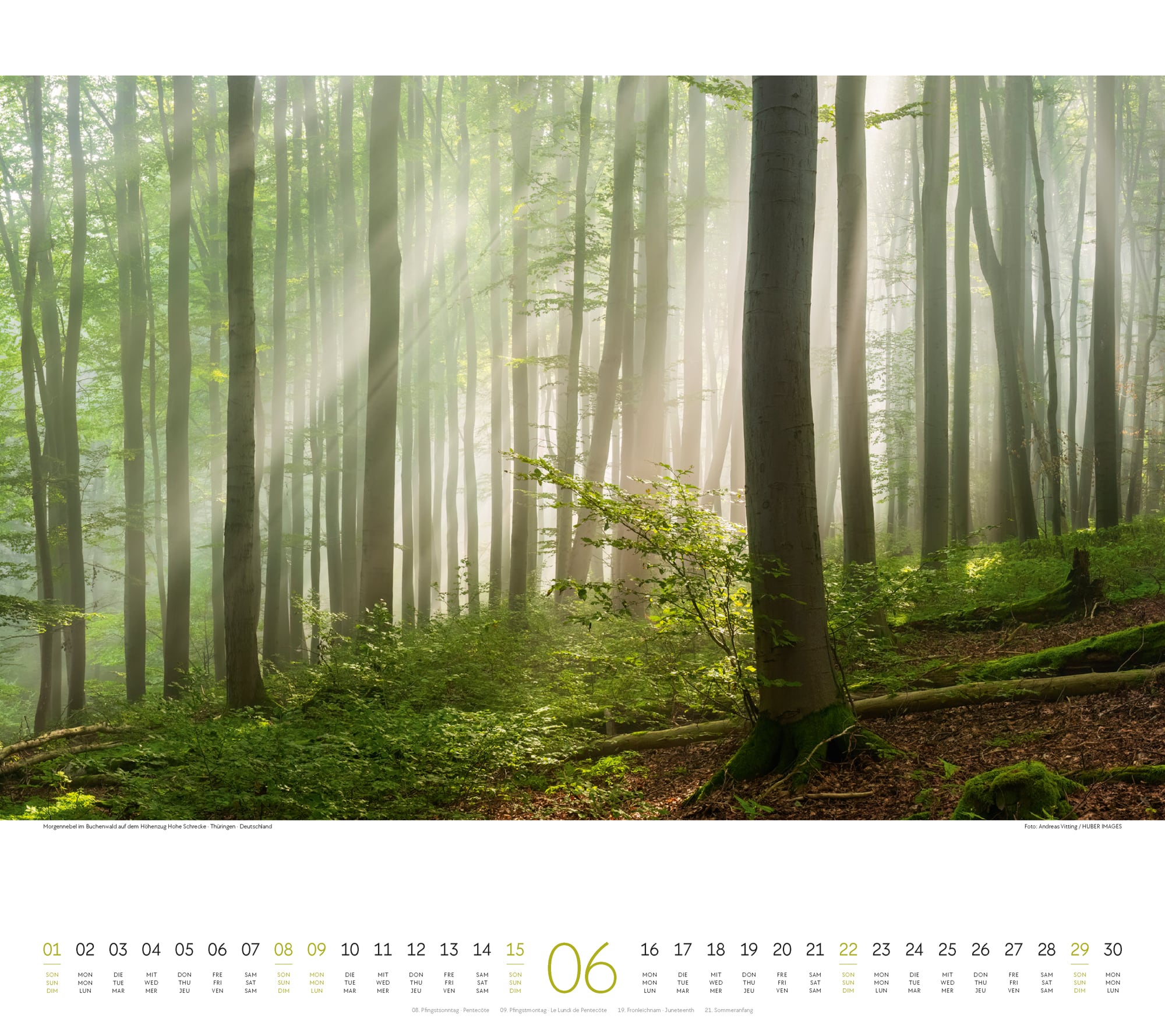 Ackermann Kalender Wald 2025 - Innenansicht 06