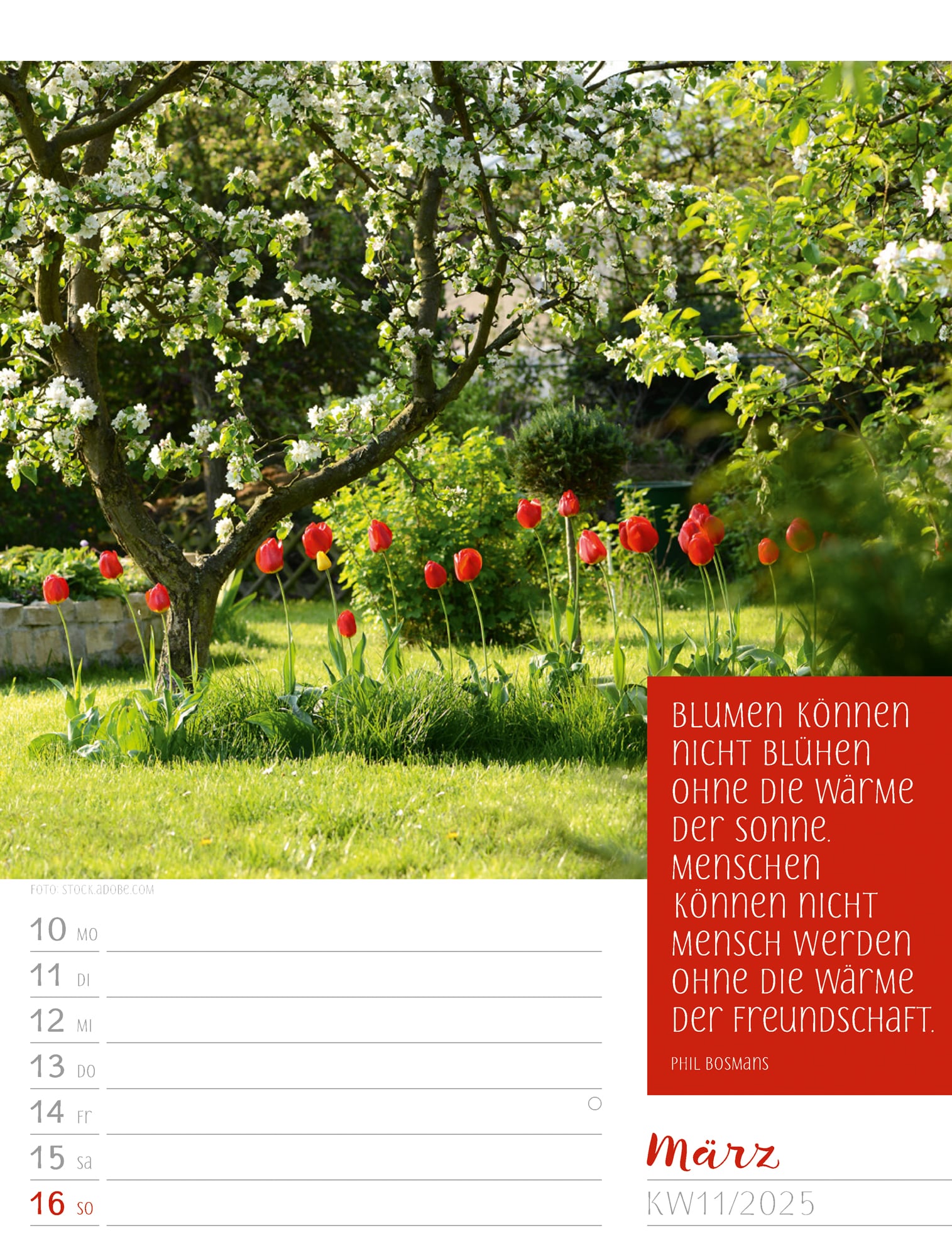 Ackermann Kalender Augenblicke - Wochenplaner 2025 - Innenansicht 14