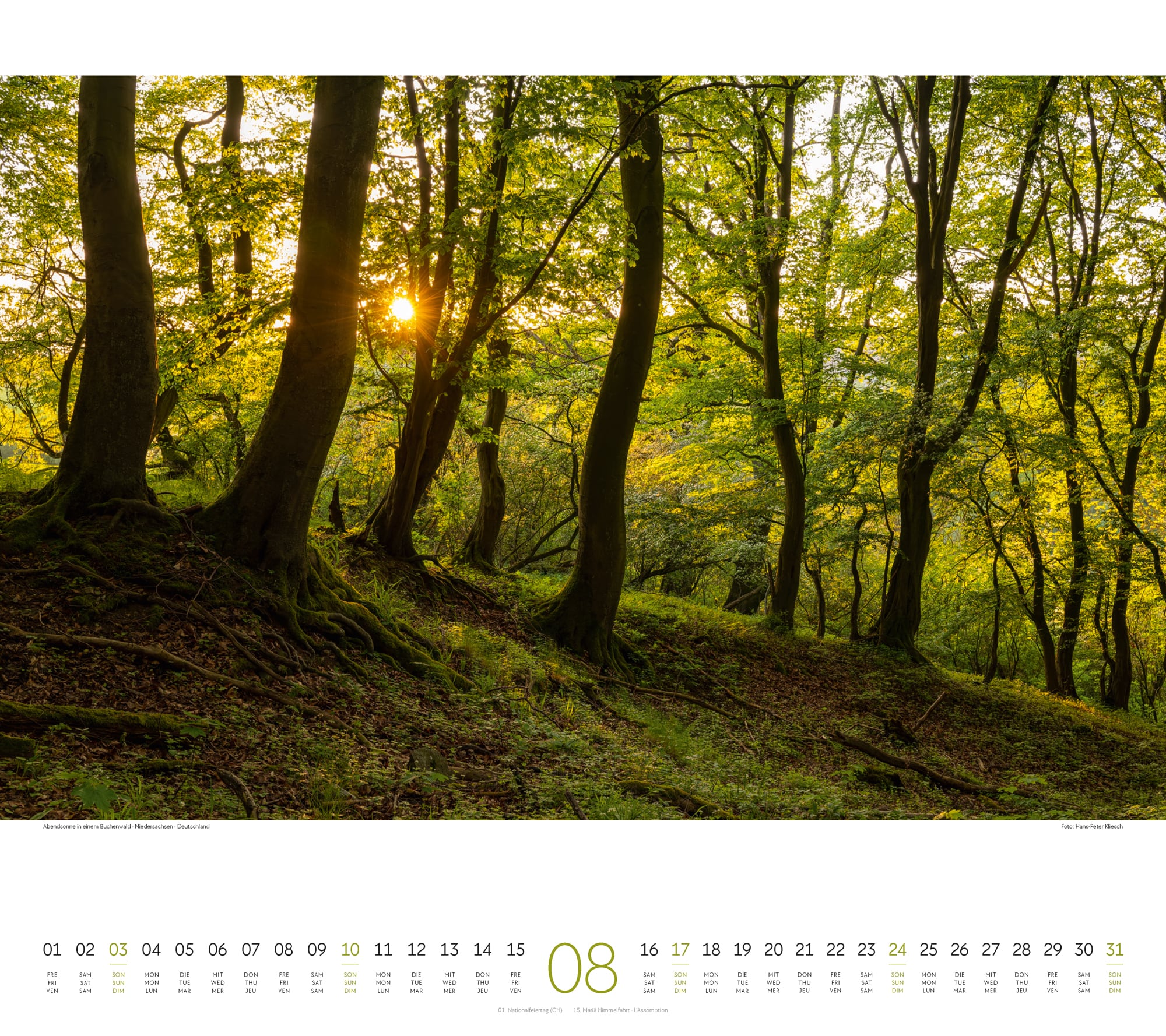 Ackermann Calendar Forest 2025 - Inside View 08