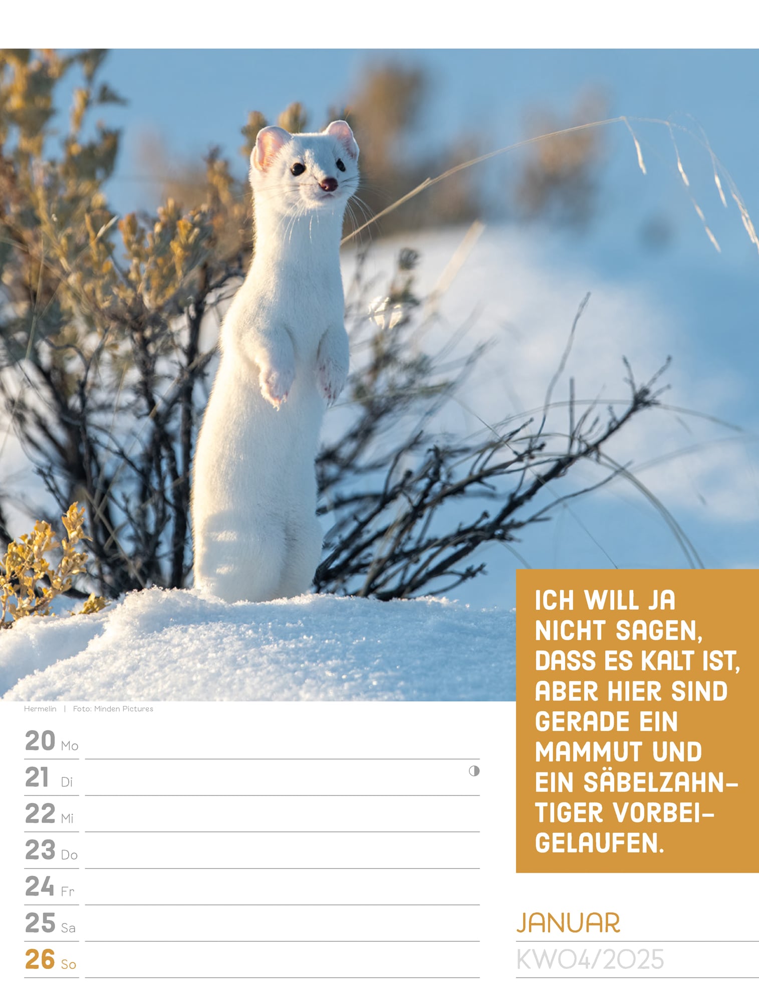 Ackermann Calendar Animals 2025 - Weekly Planner - Inside View 07