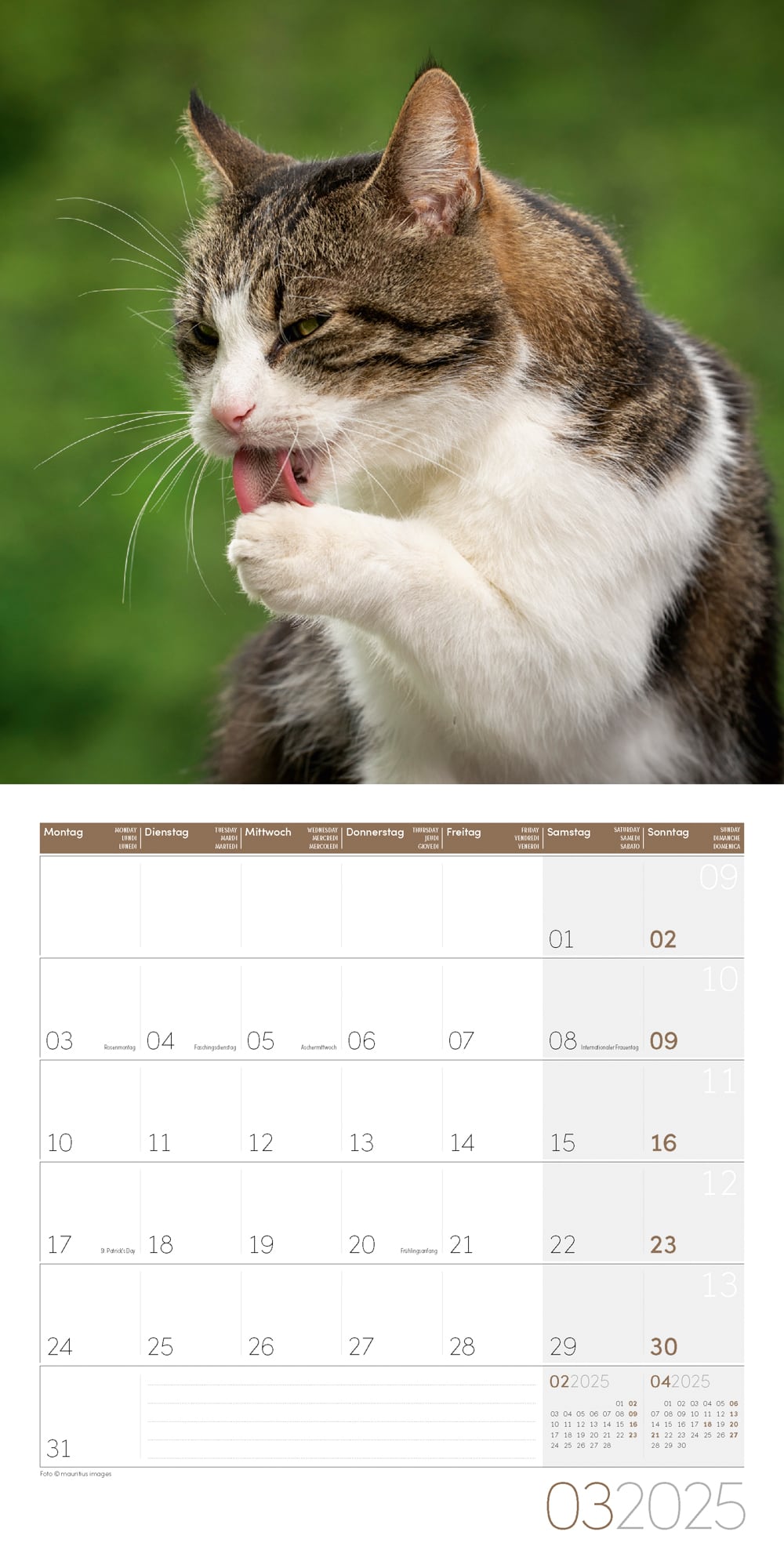 Art12 Collection Kalender Katzen 2025 - 30x30 - Innenansicht 03
