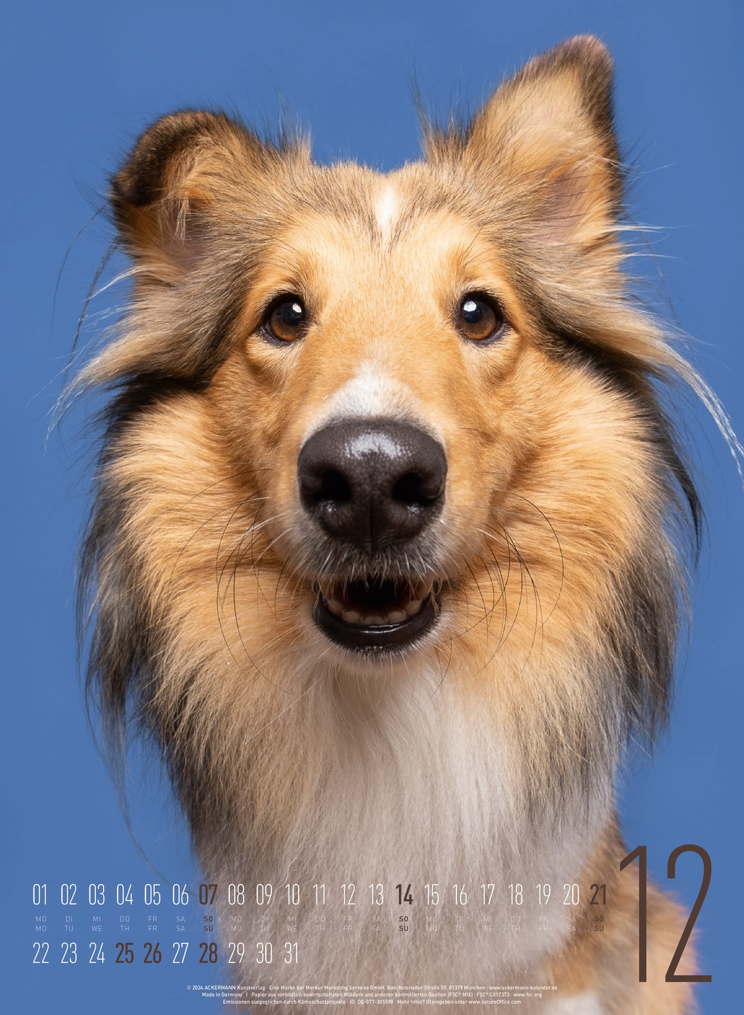 Ackermann Calendar Funny Dogs 2025 - Inside View 12