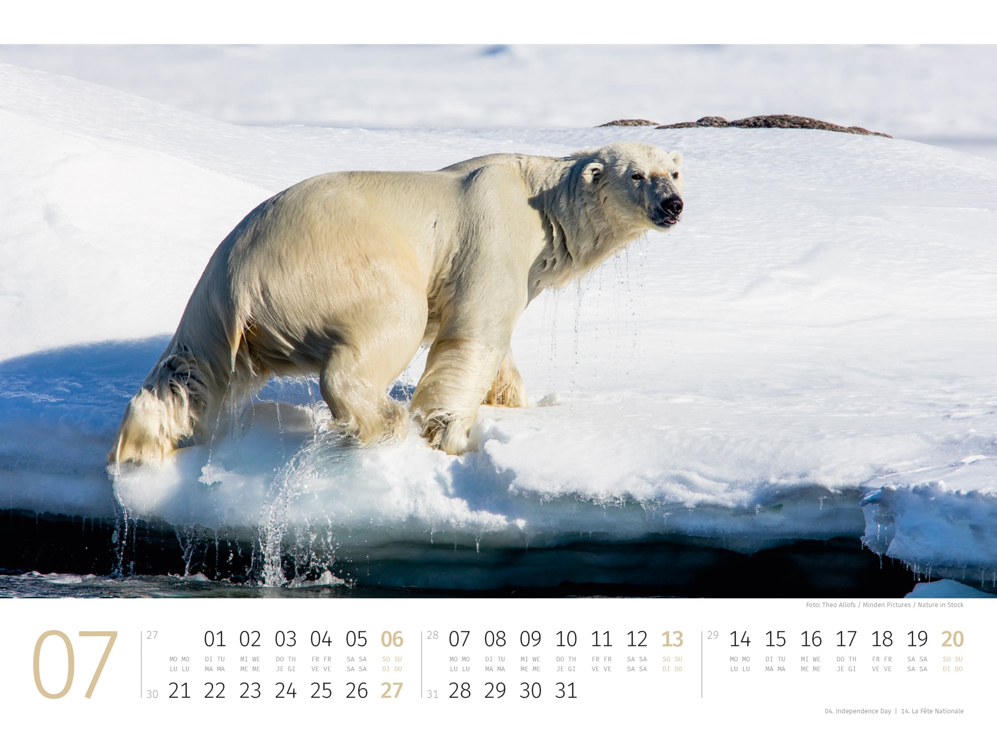 Ackermann Calendar Polar Bears 2025 - Inside View 07